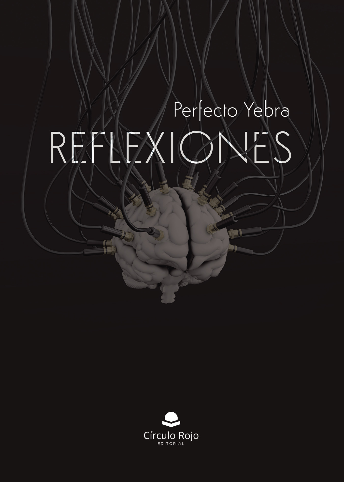 Portada de Reflexiones · Perfecto Yebra