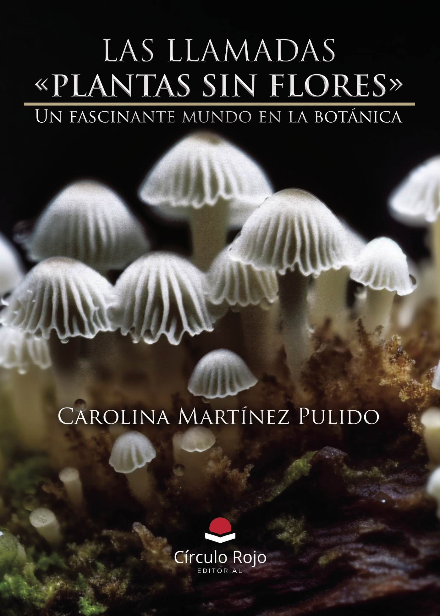 Portada de LAS LLAMADAS PLANTAS SIN FLORES Un fascinante mundo en la botánica