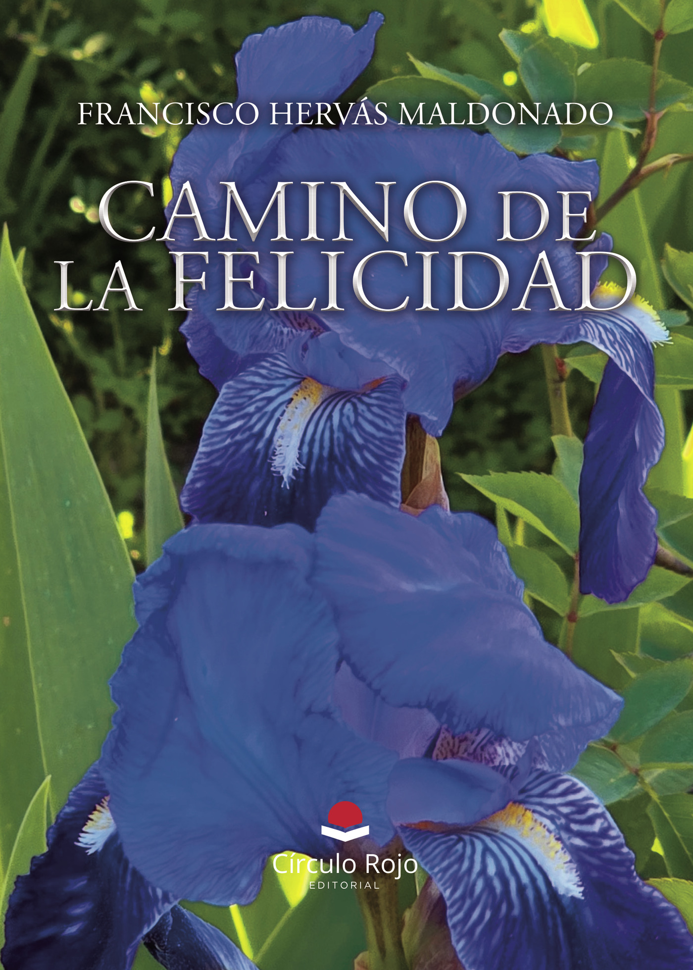 Portada de CAMINO DE LA FELICIDAD