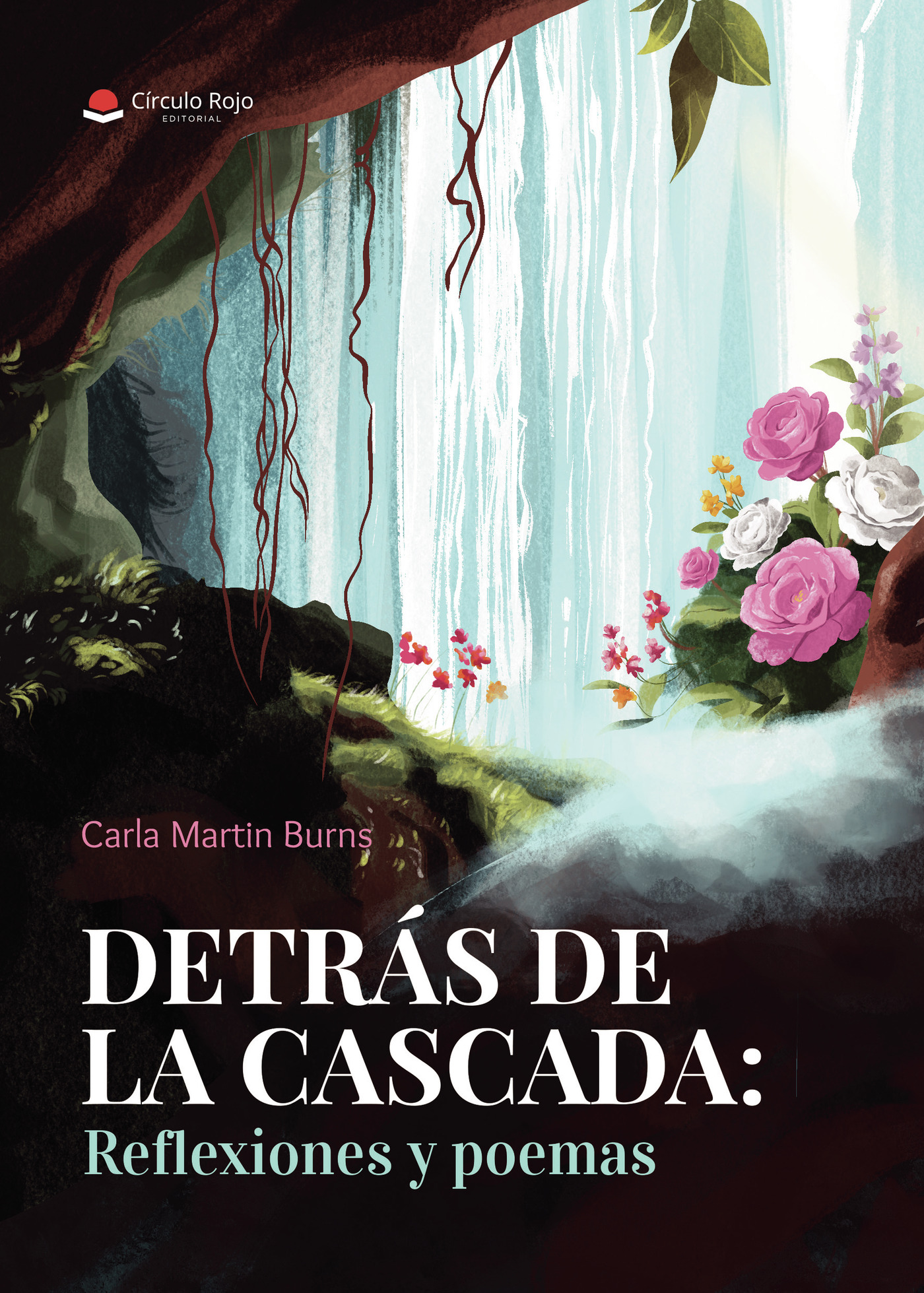 Portada de Detrás de la cascada: reflexiones y poemas