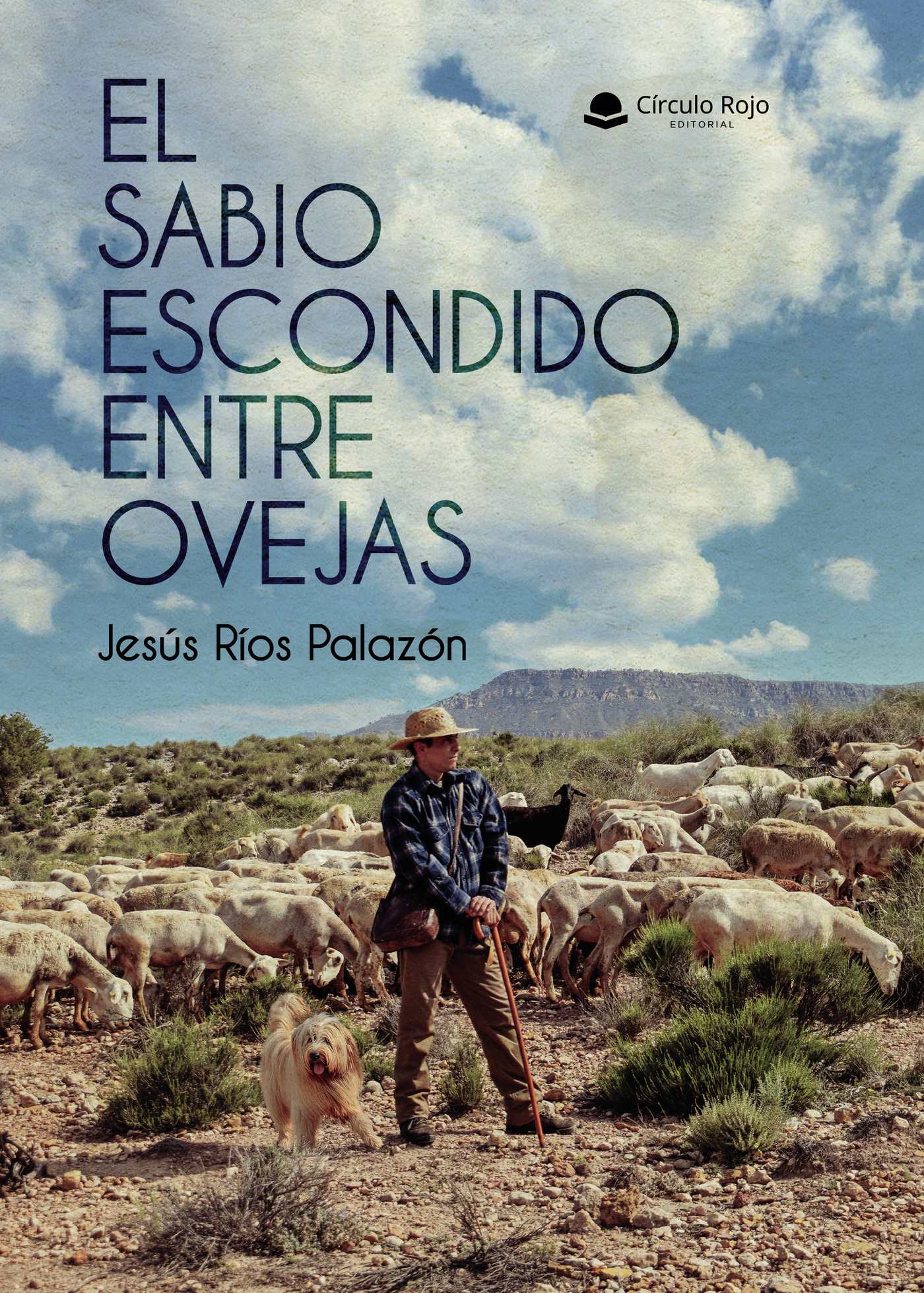 Portada de El sabio escondido entre ovejas