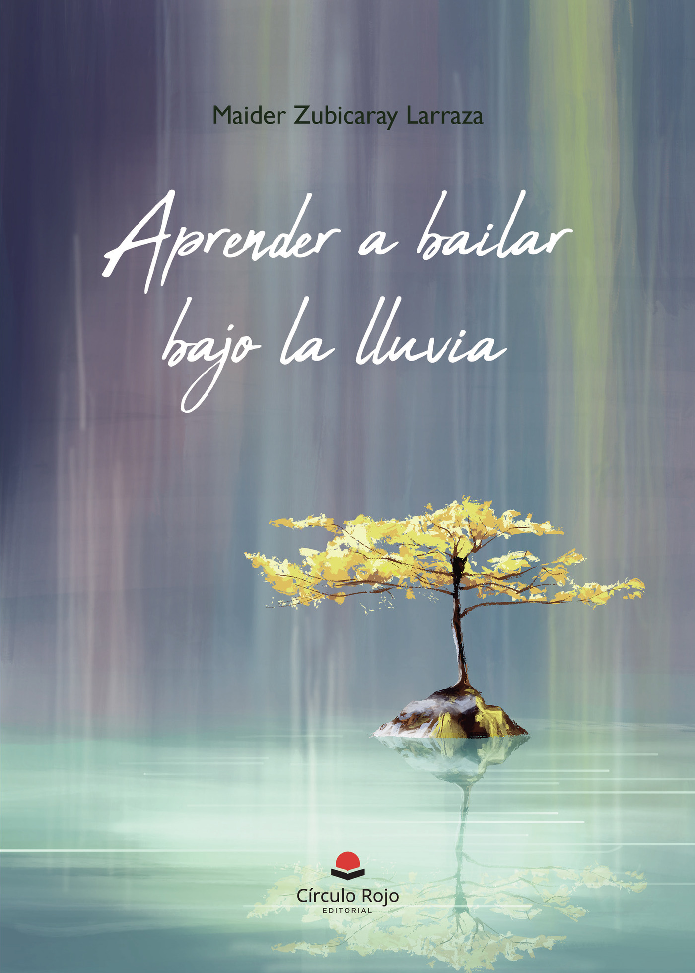 Portada de Aprender a bailar bajo la lluvia