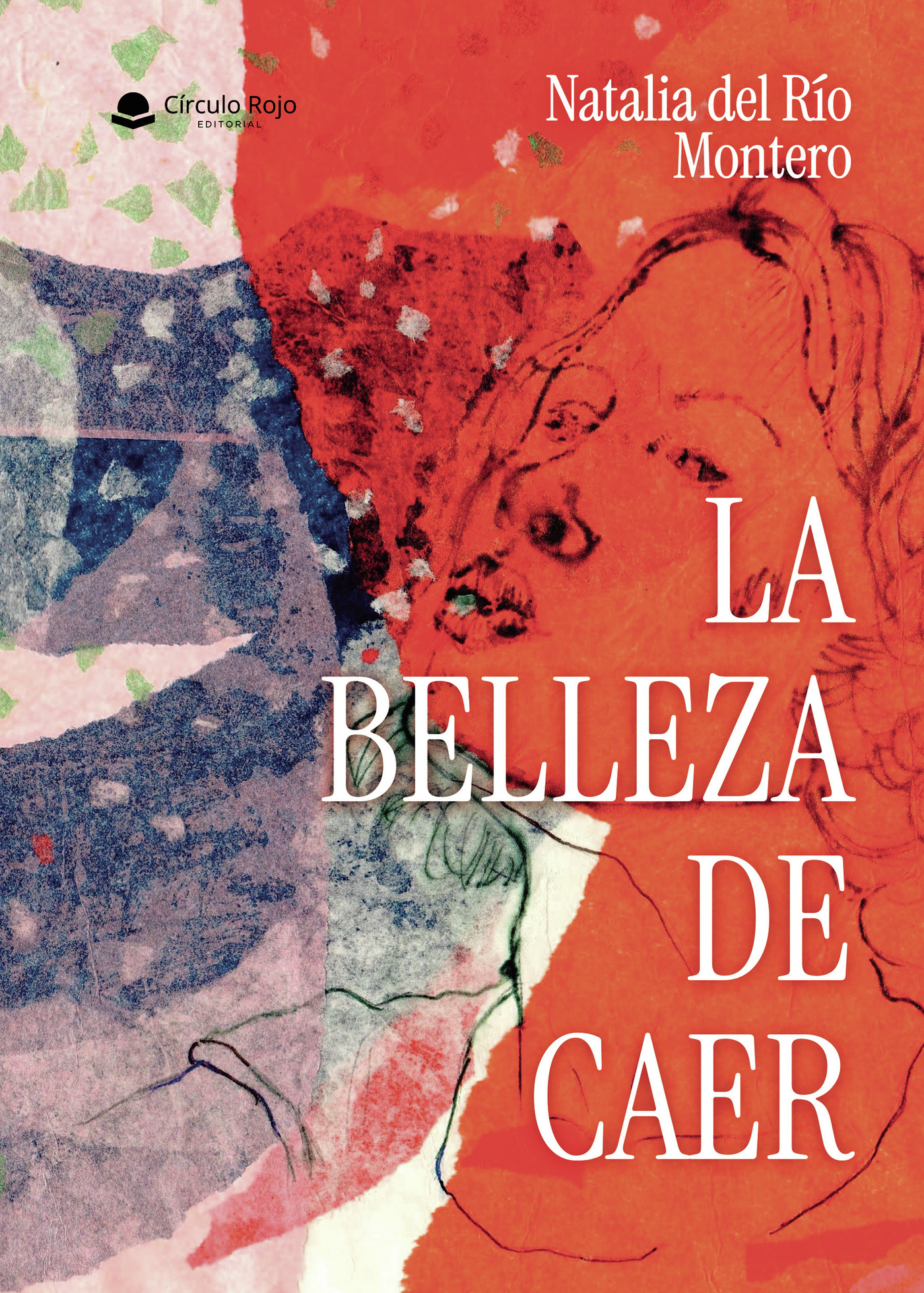 Portada de La belleza de caer
