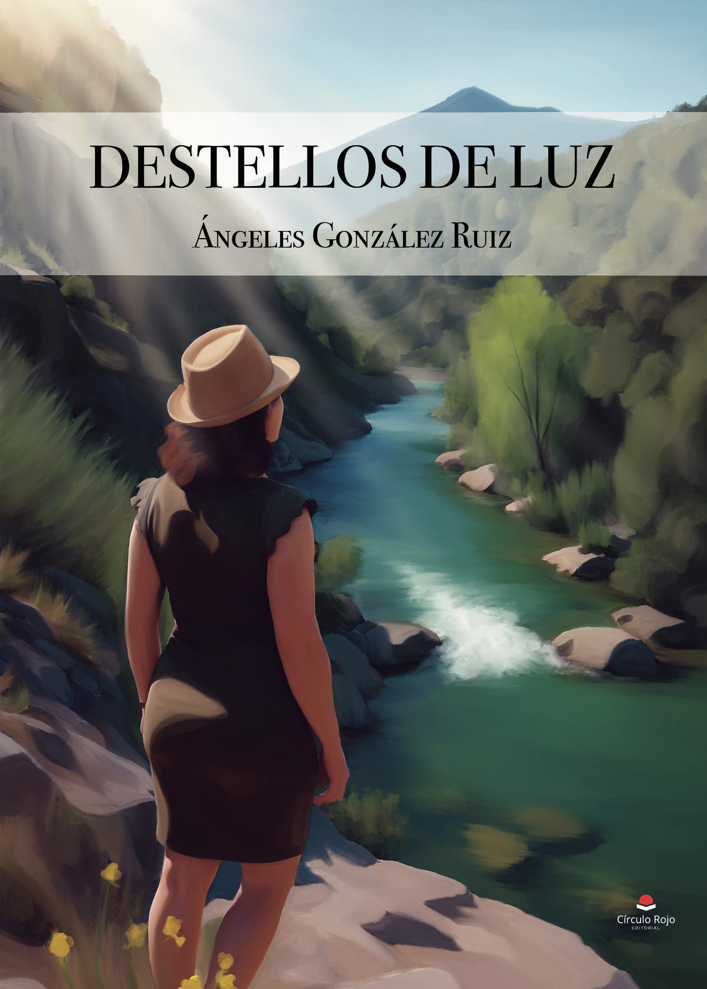 Portada de Destellos de luz