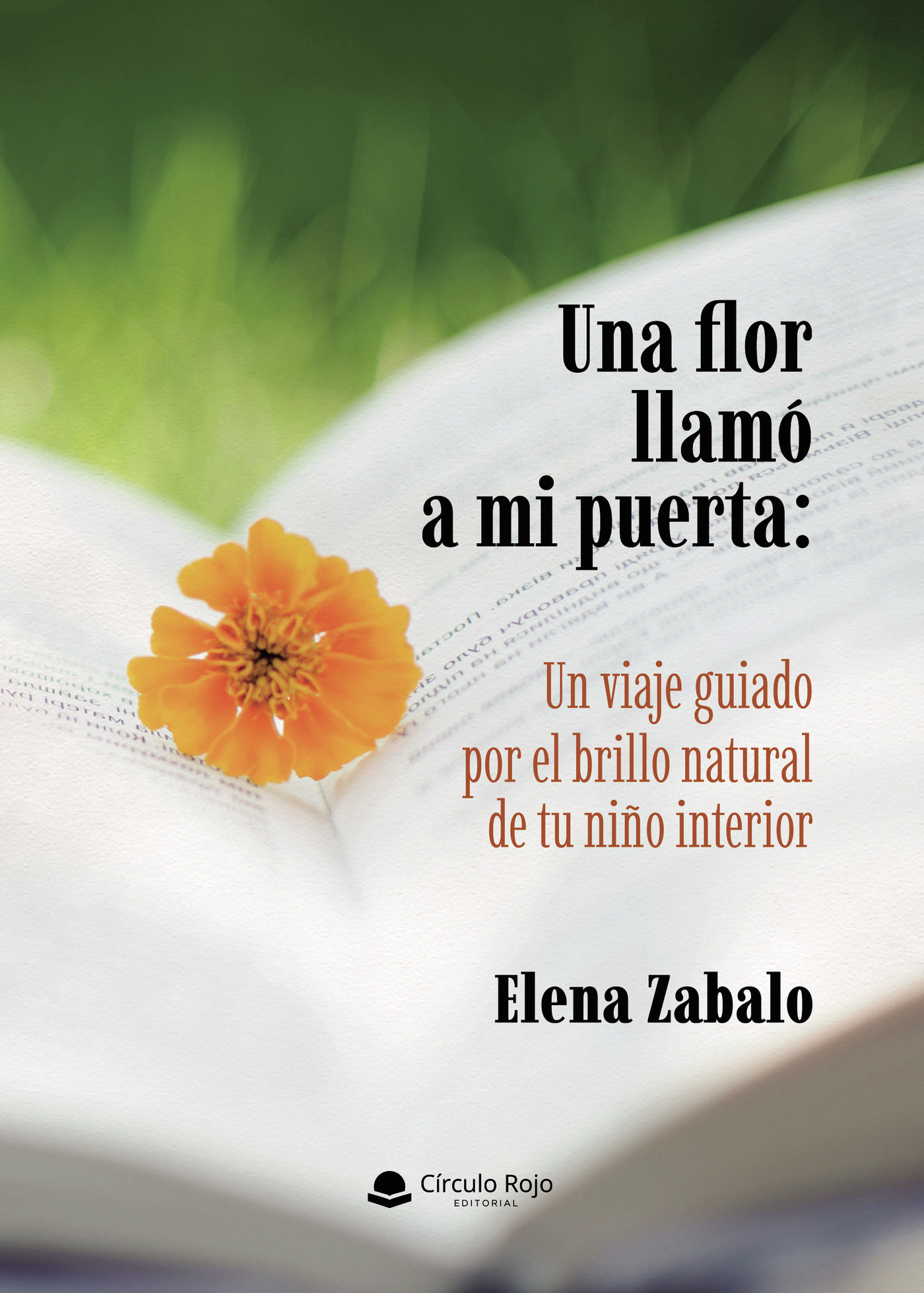 Portada de Una flor llamó a mi puerta: Un viaje guiado por el brillo natural de tu niño interior
