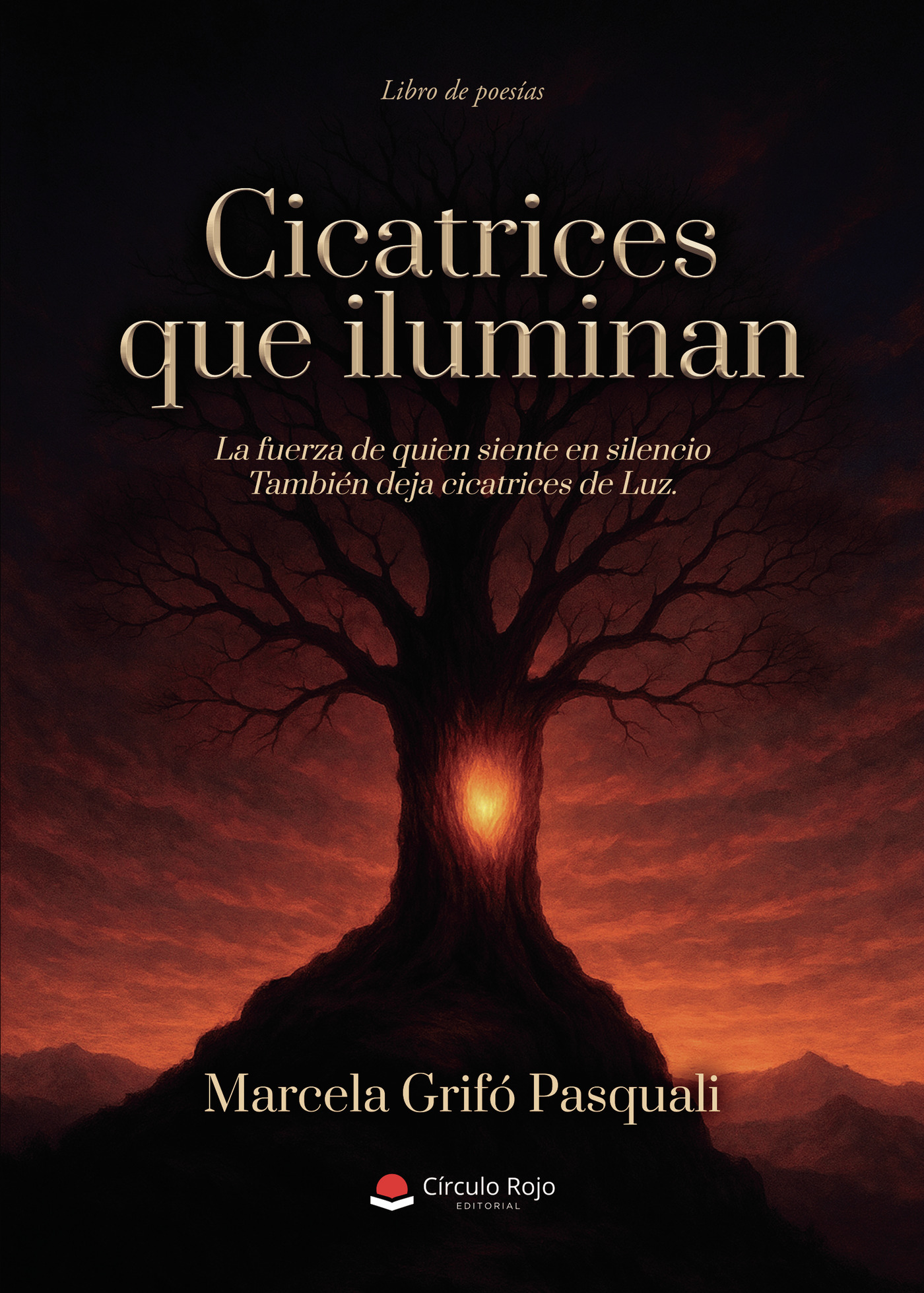 Portada de Cicatrices que iluminan