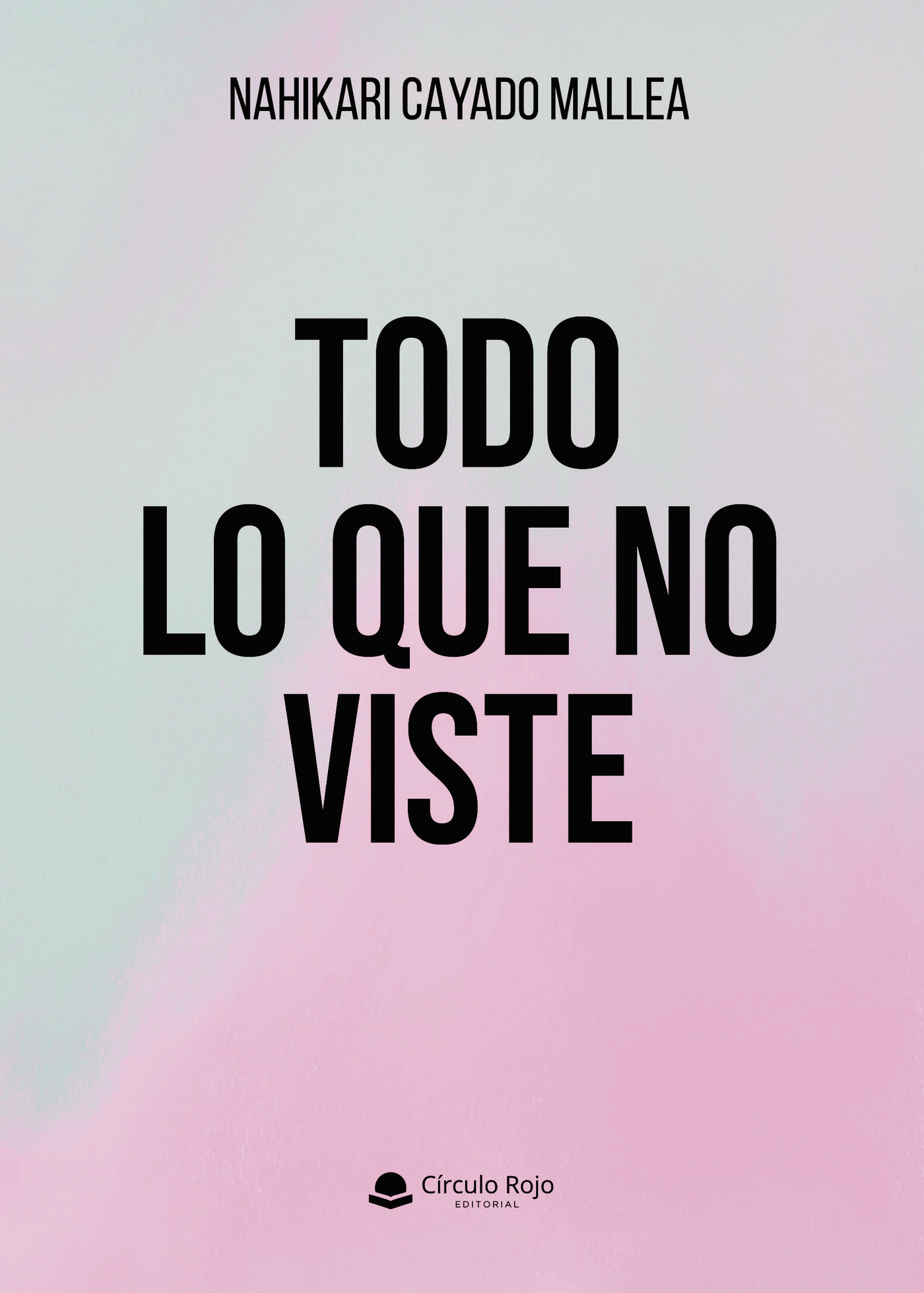 Portada de TODO LO QUE NO VISTE
