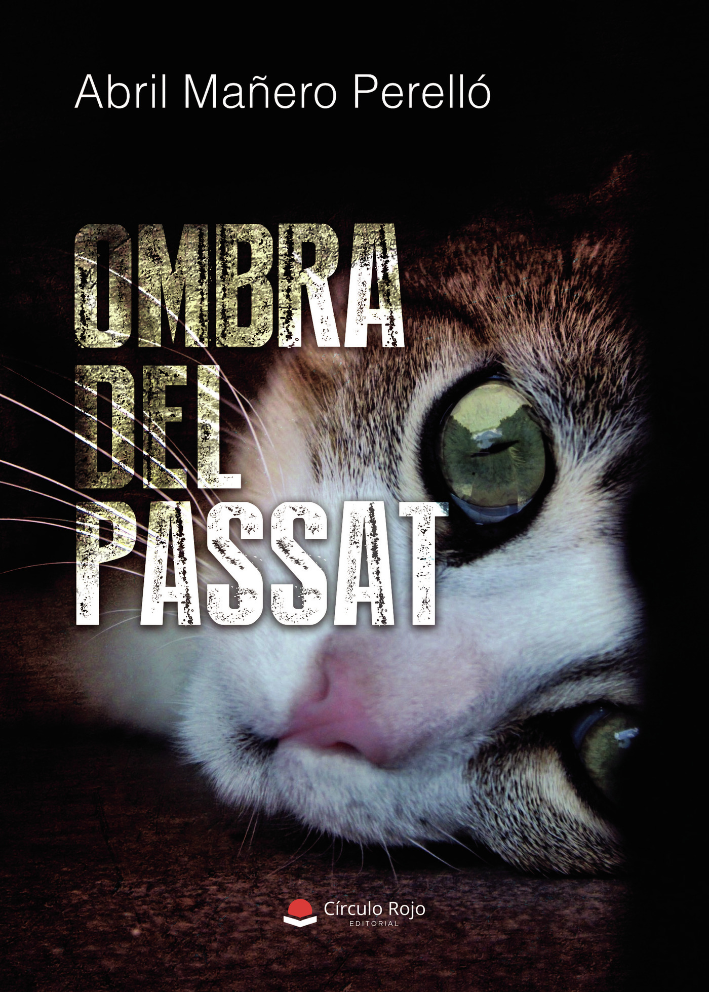 Portada de Ombra del passat