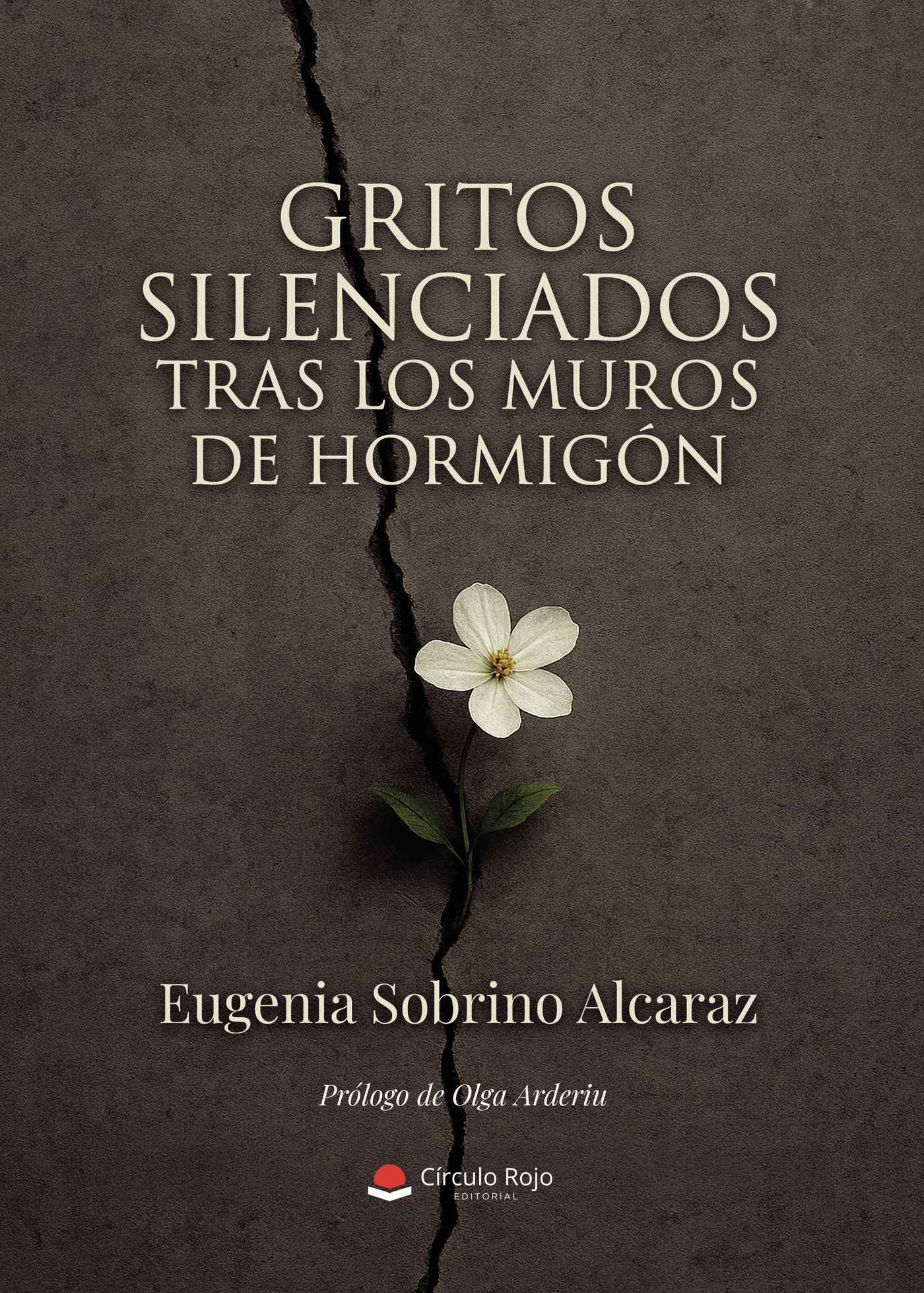 Portada de Gritos silenciados tras los muros de hormigón