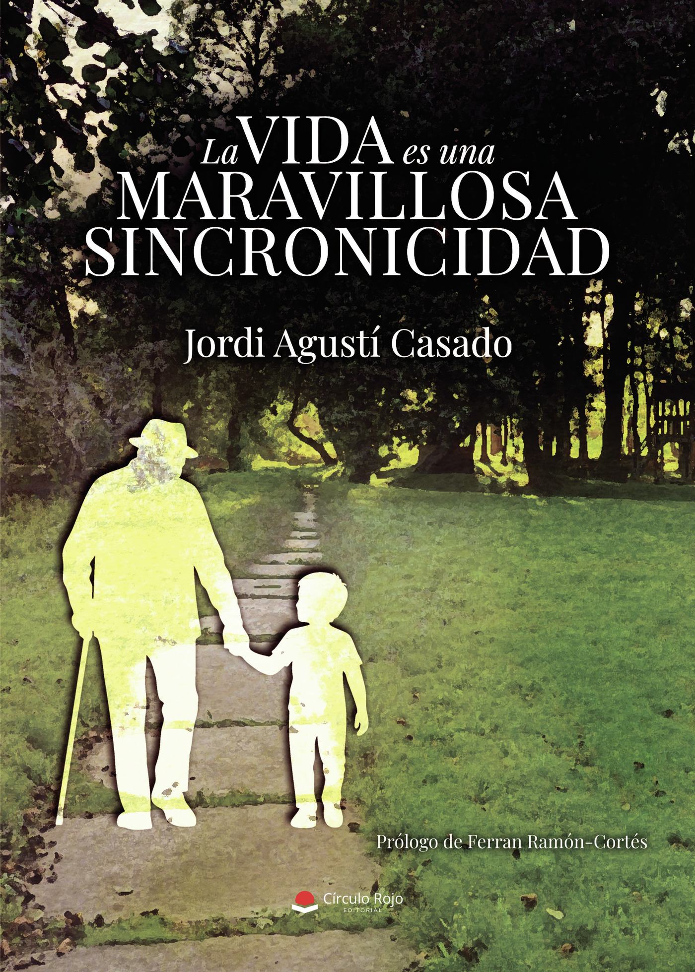 Portada de La vida es una maravillosa sincronicidad