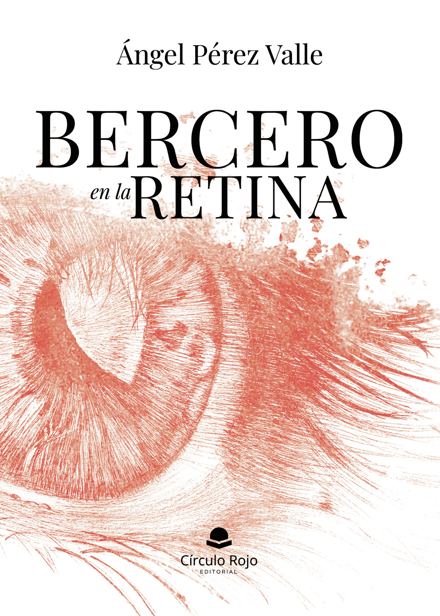 Portada de Bercero en la retina