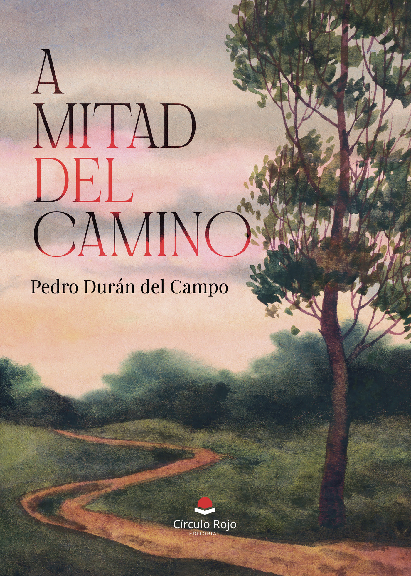 Portada de A mitad del camino