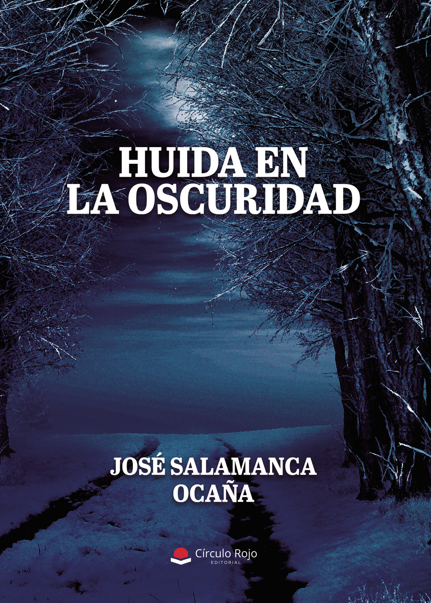 Portada de Huida en la oscuridad