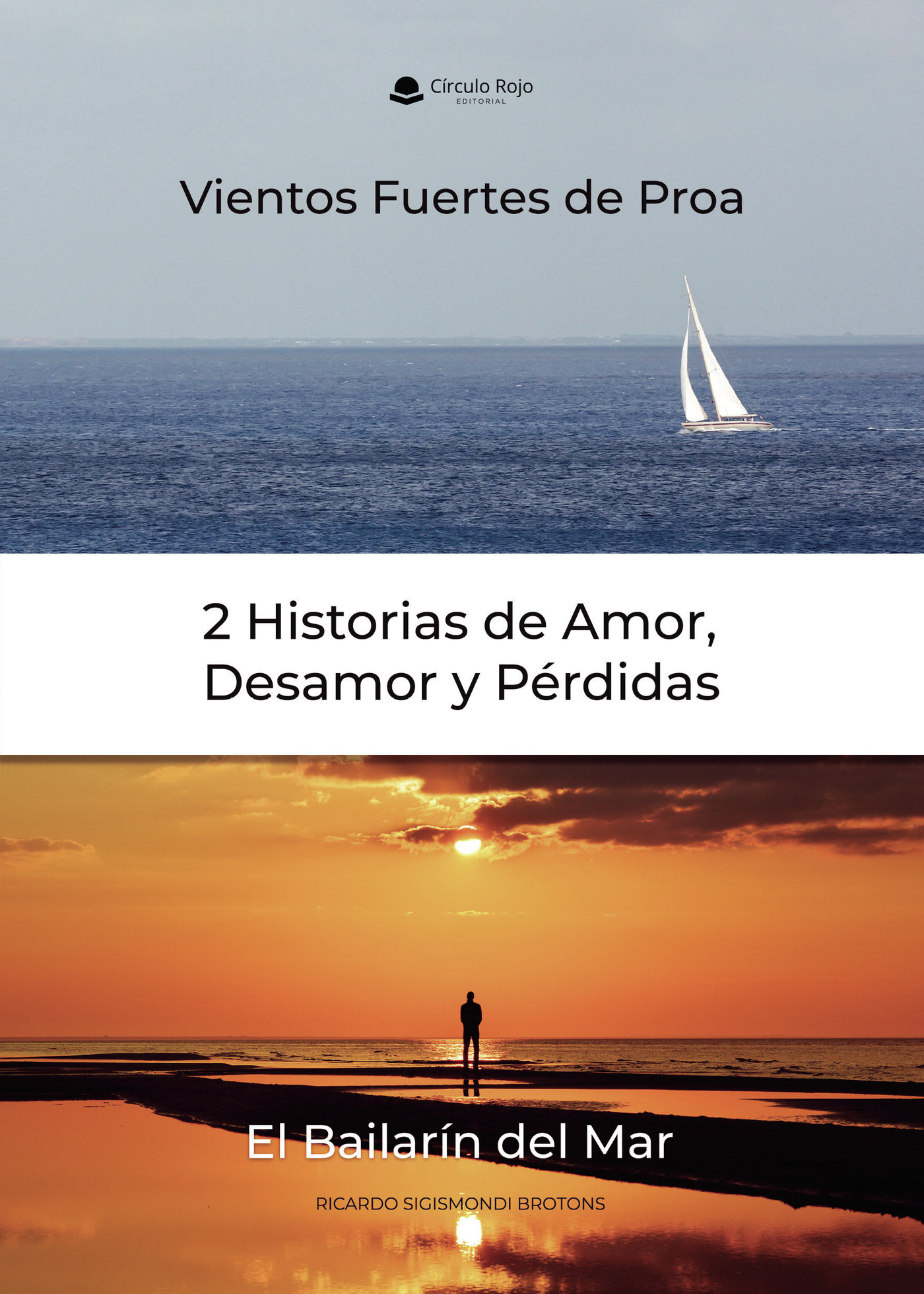 Portada de 2 Historias de Amor, Desamor y Pérdidas · RICARDO SIGISMONDI BROTONS