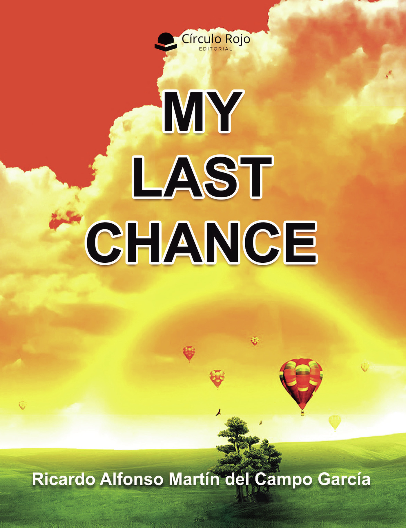 Portada de MY LAST CHANCE