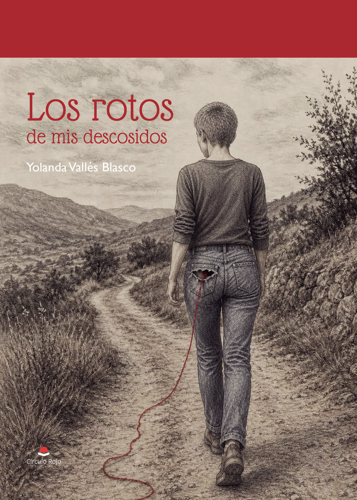 Portada de Los rotos de mis descosidos