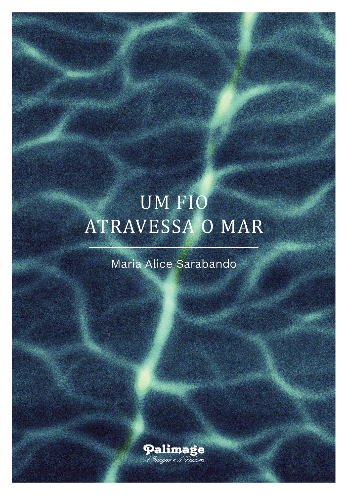 Portada de Um fio atravessa o mar · Maria Alice Sarabando