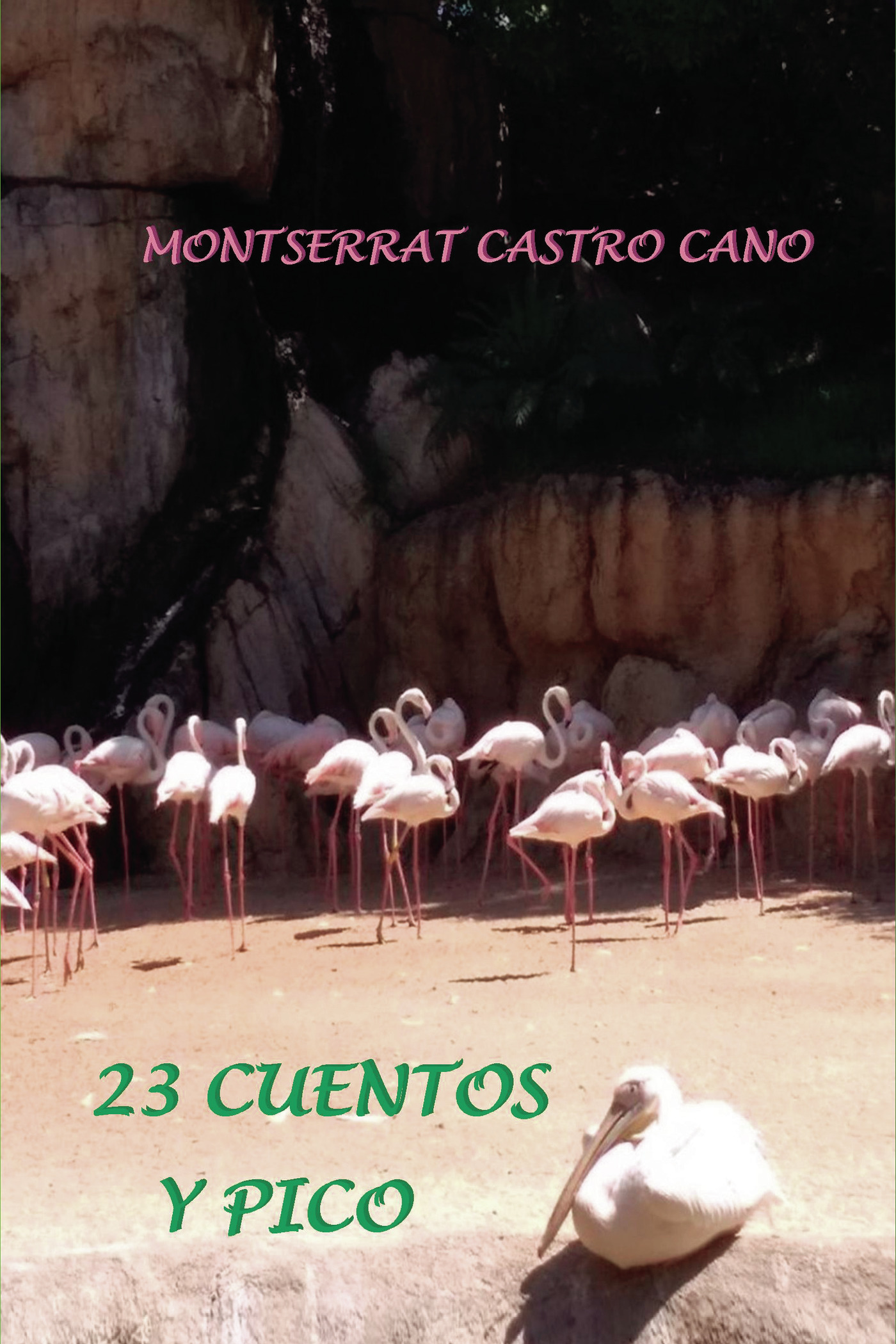 Portada de 23 Cuentos y pico · MONTSERRAT CASTRO CANO