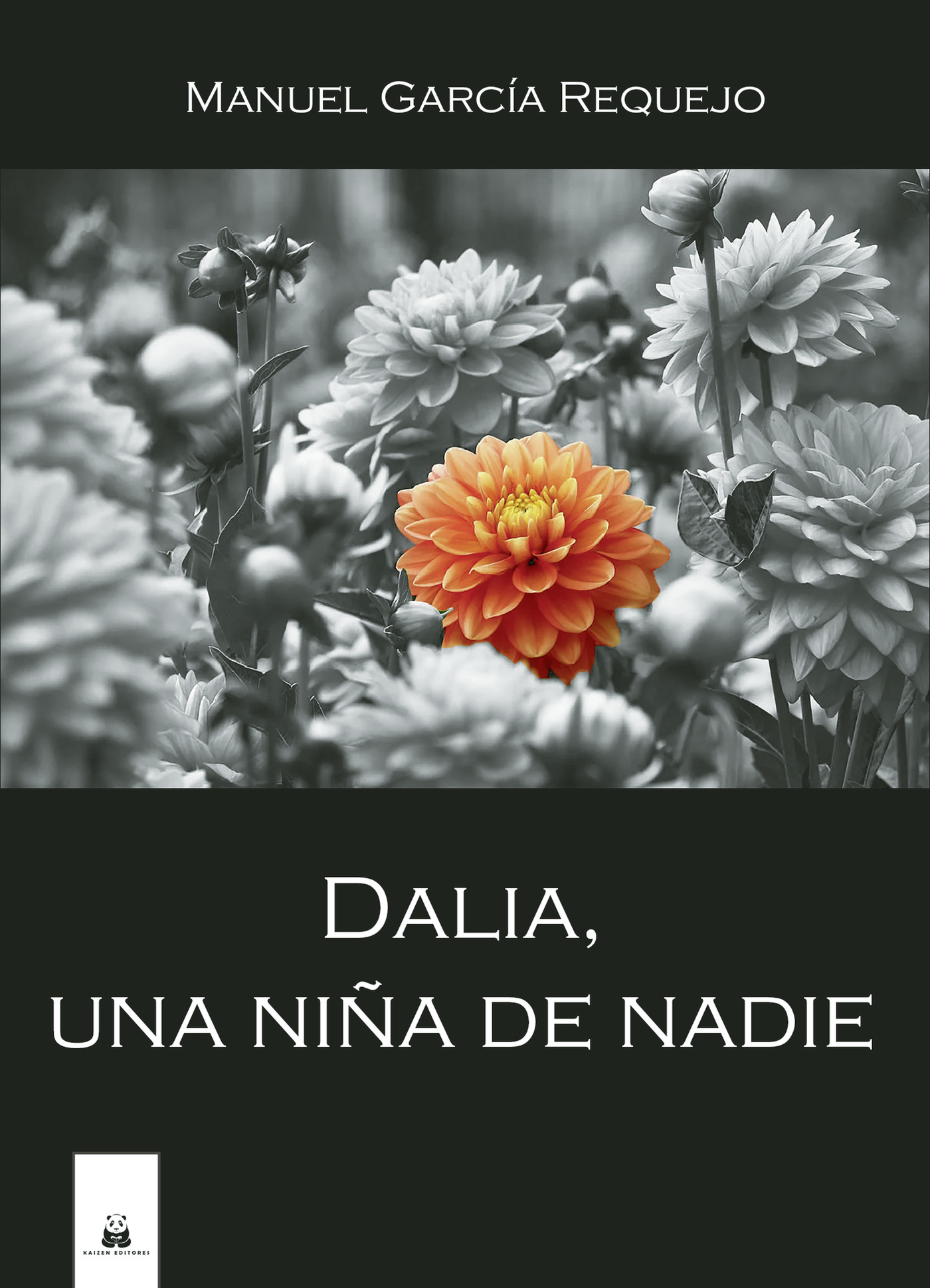 Portada de Dalia, una niña de nadie
