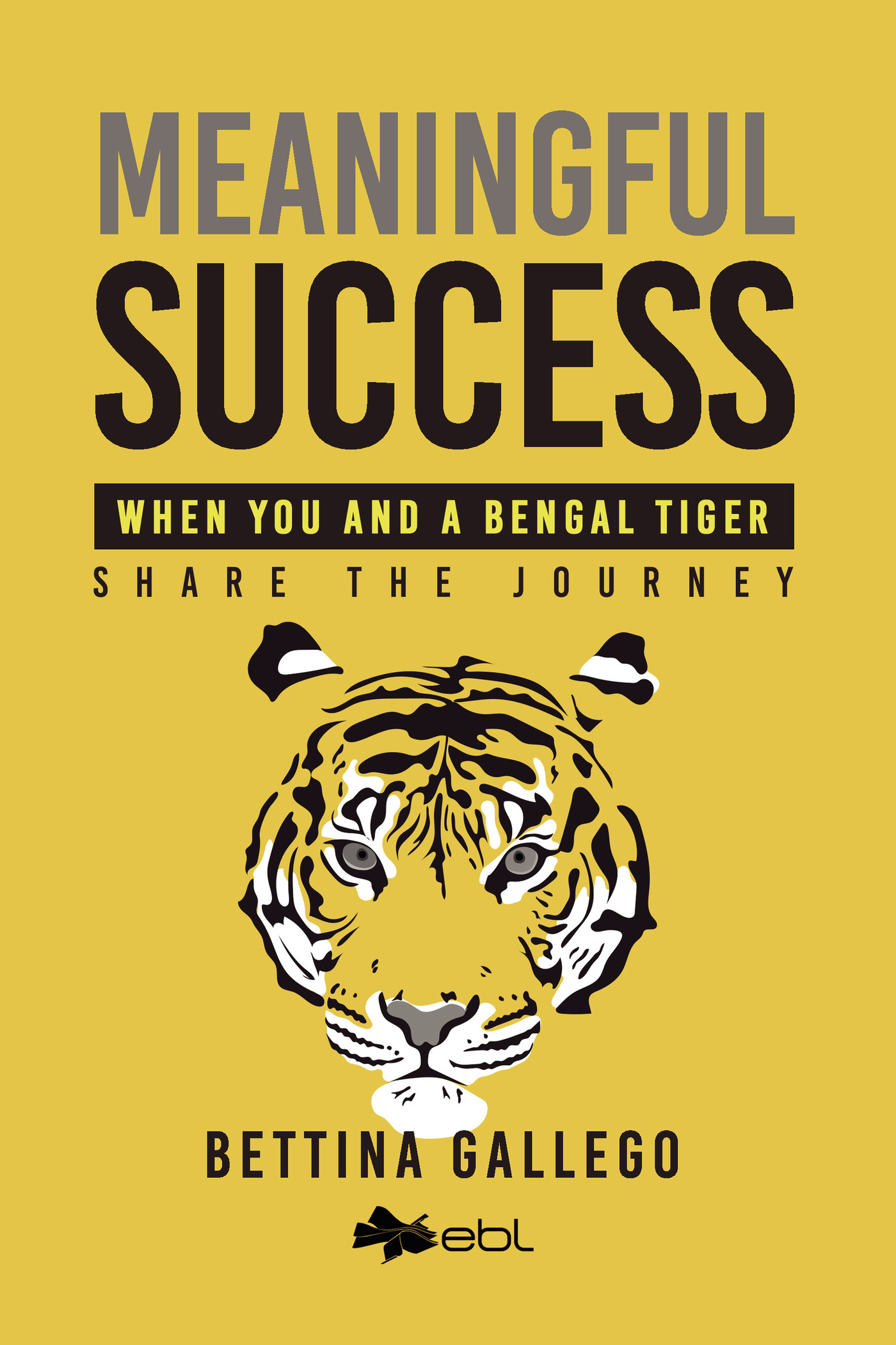 Portada de Meaningful Success