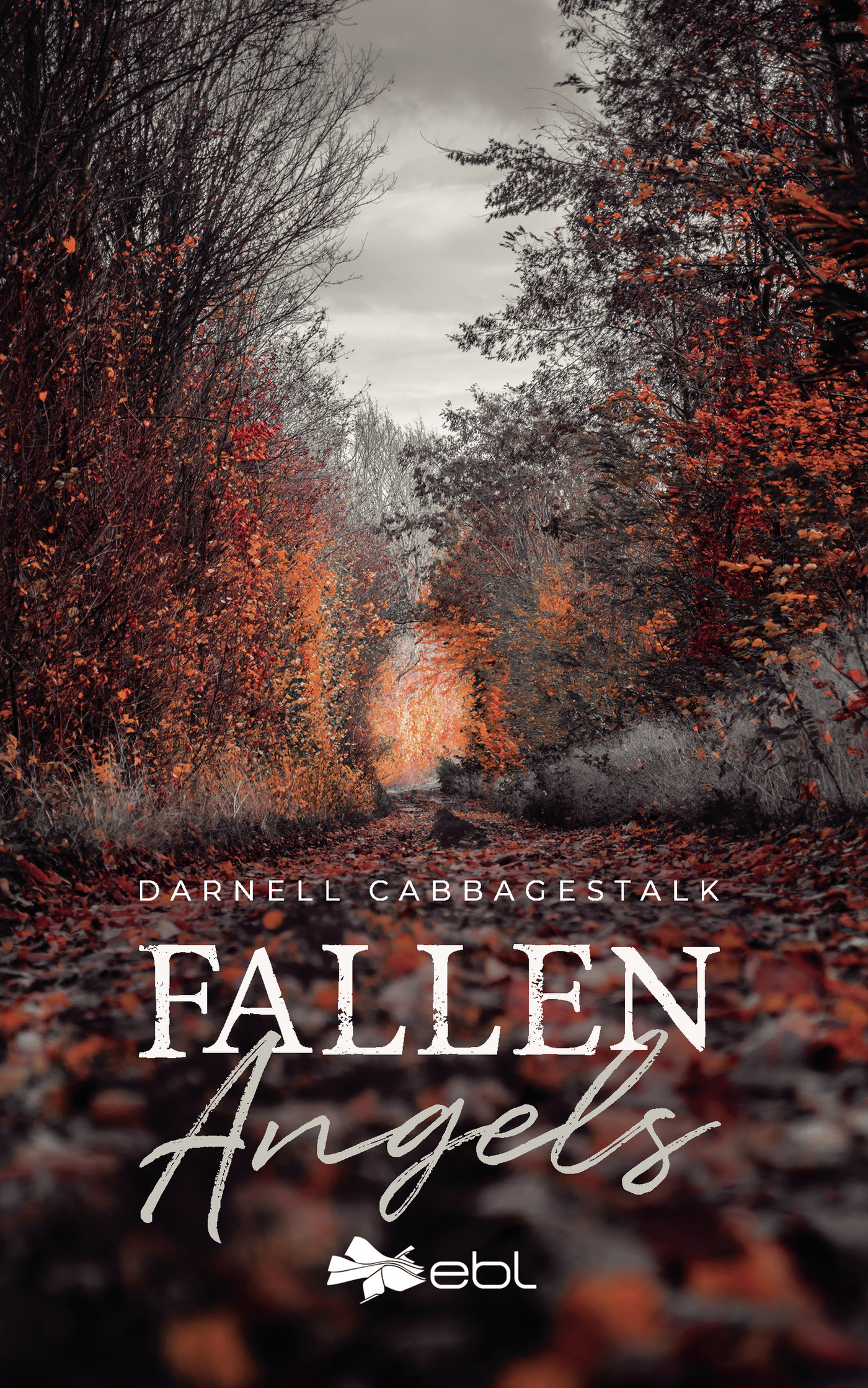 Portada de Fallen Angels