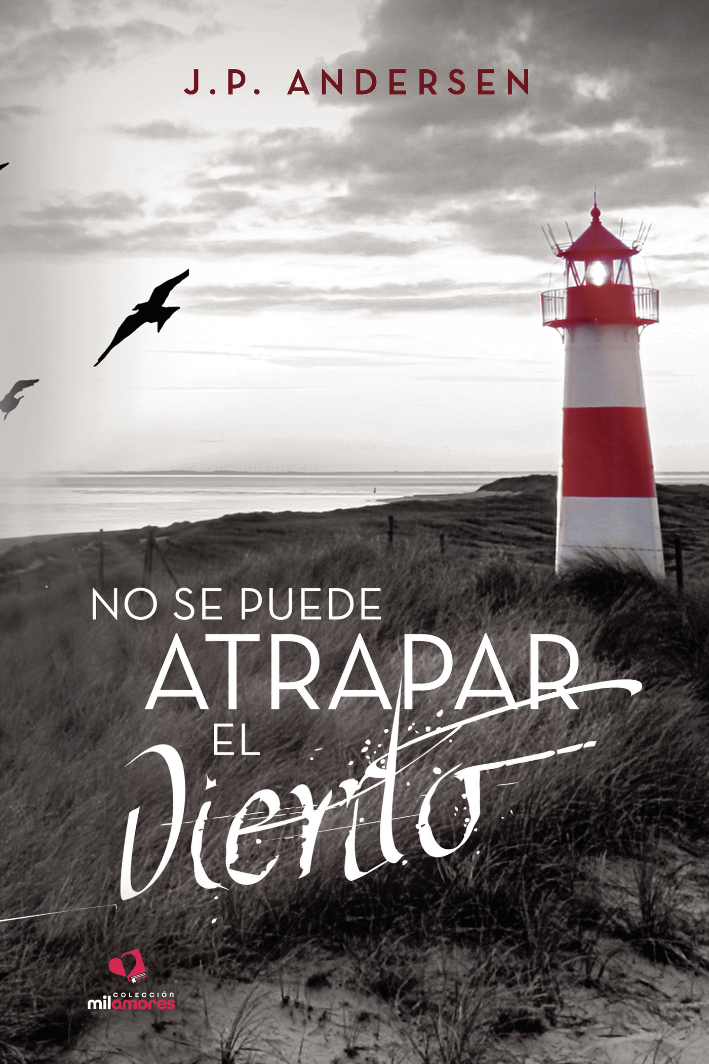 Portada de No se puede atrapar el viento