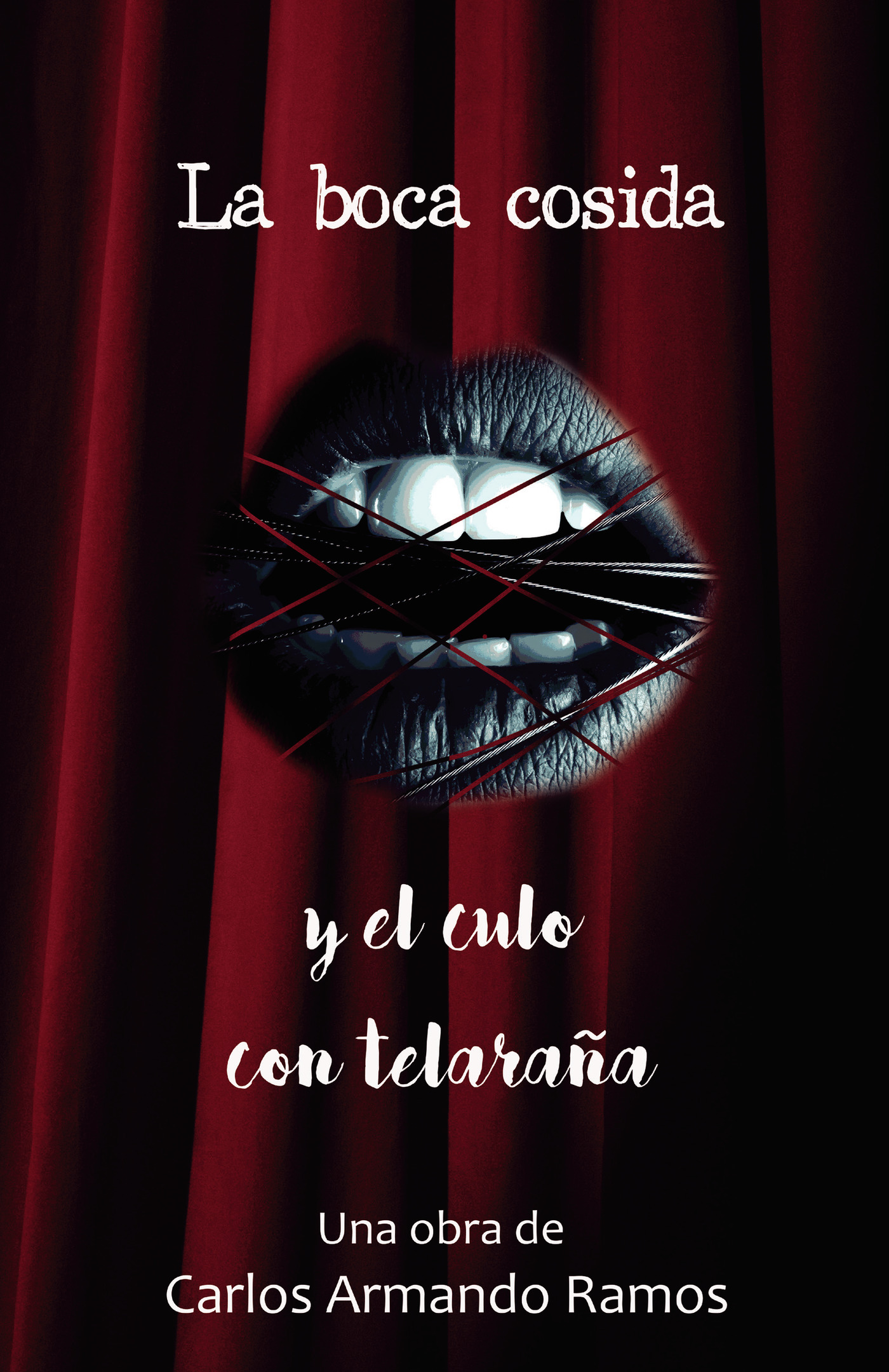 Portada de La boca cosida y el culo con telaraña