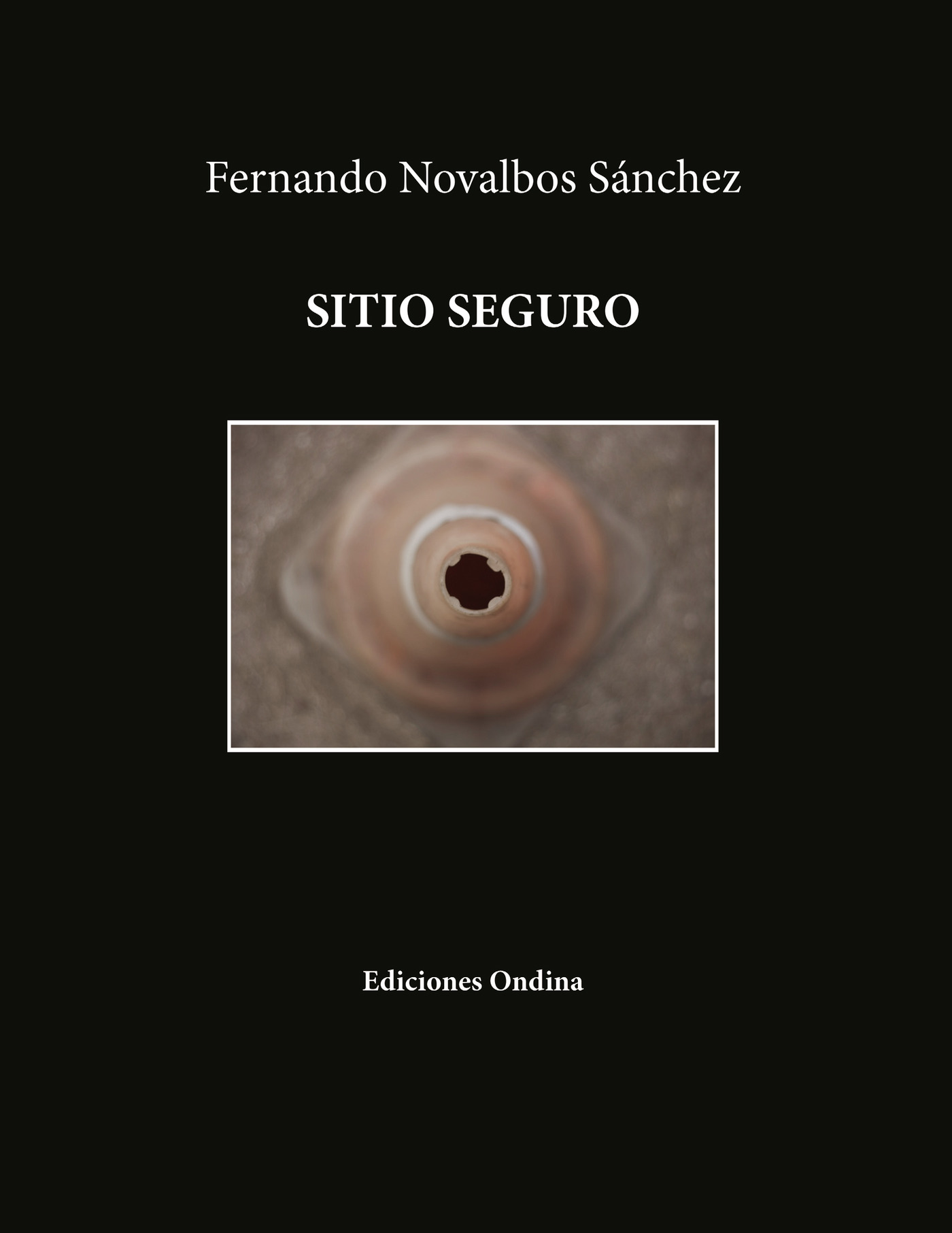 Portada de Sitio Seguro