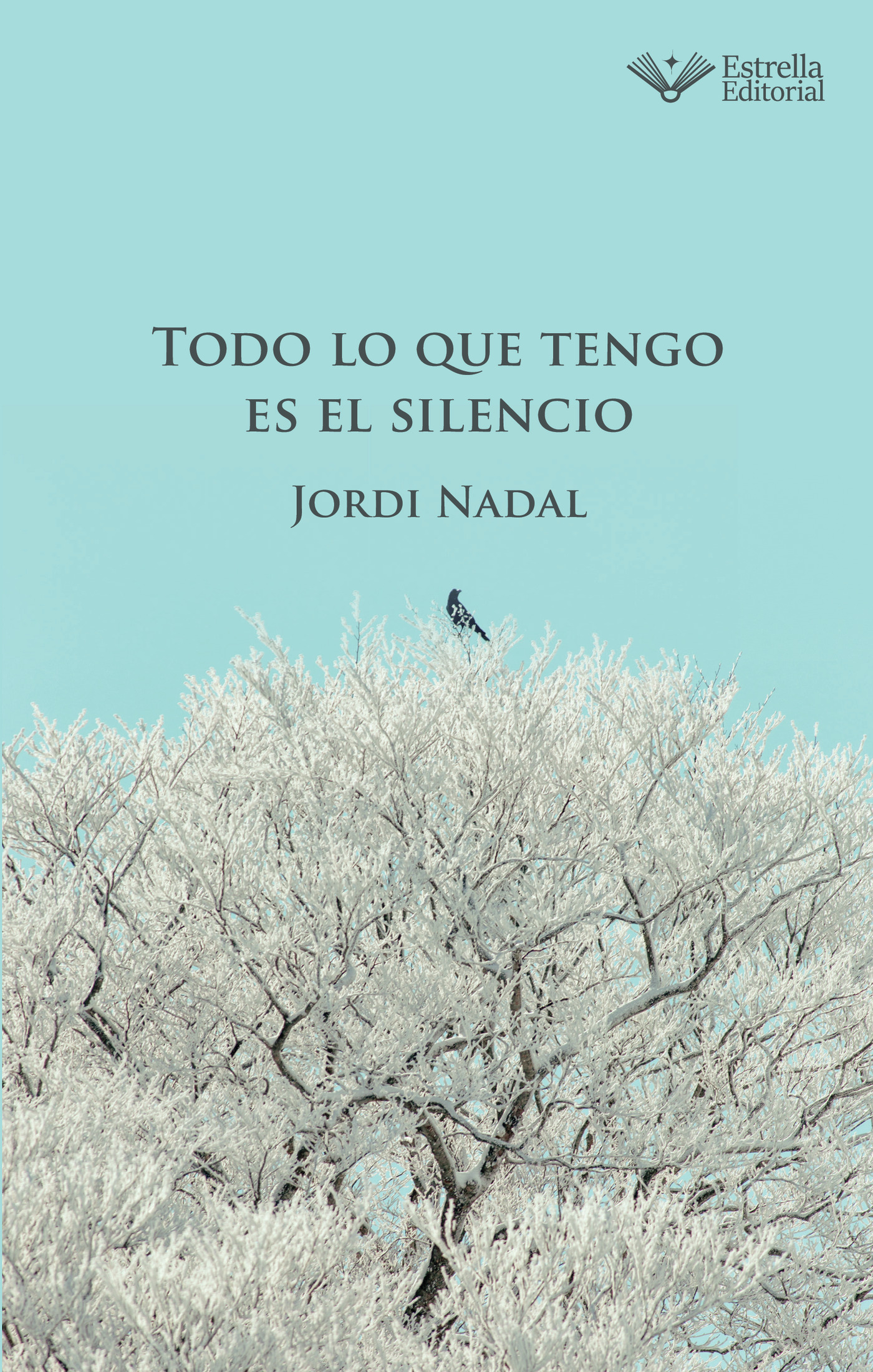Portada de Todo lo que tengo es el silencio
