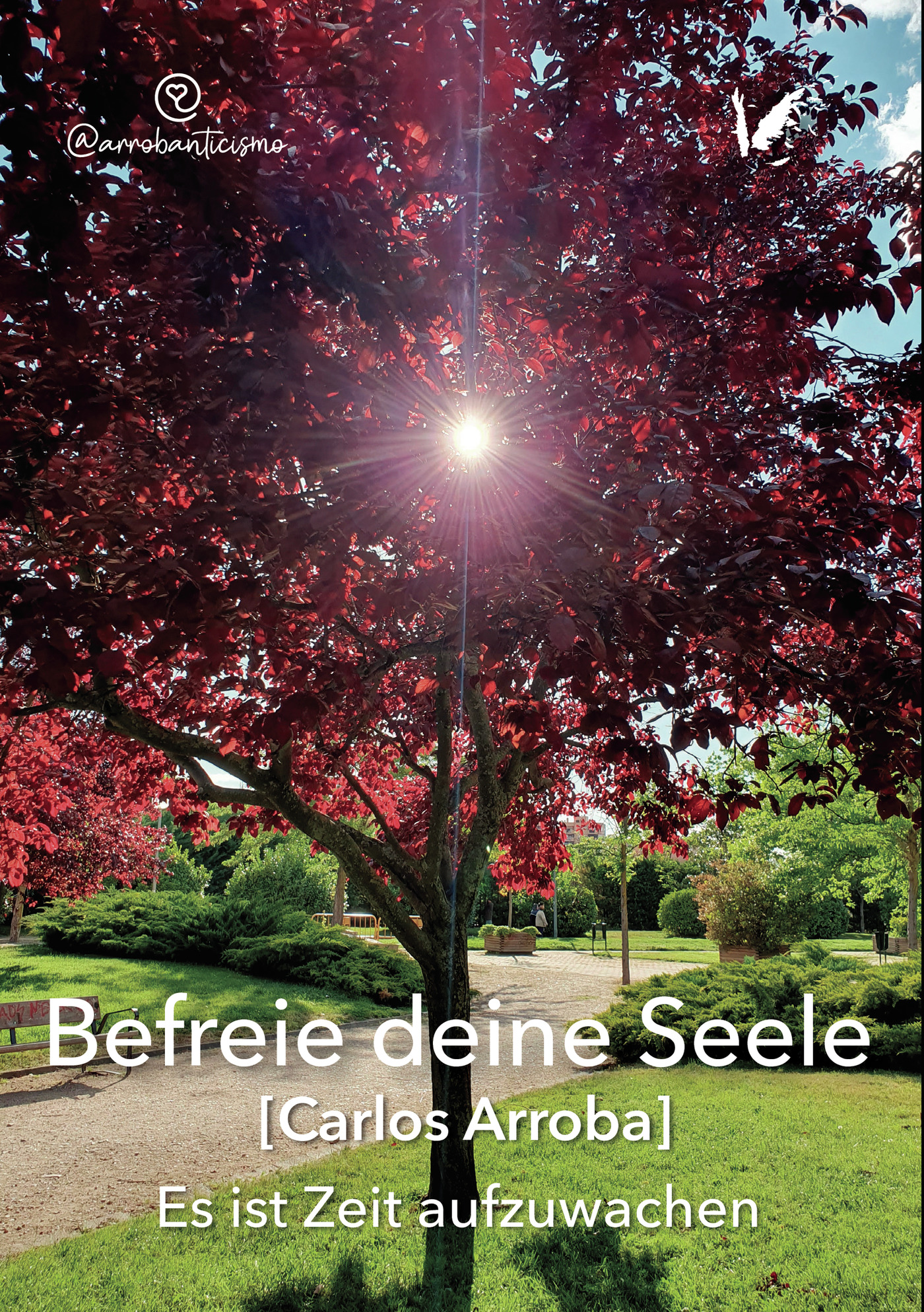 Portada de Befreie deine Seele