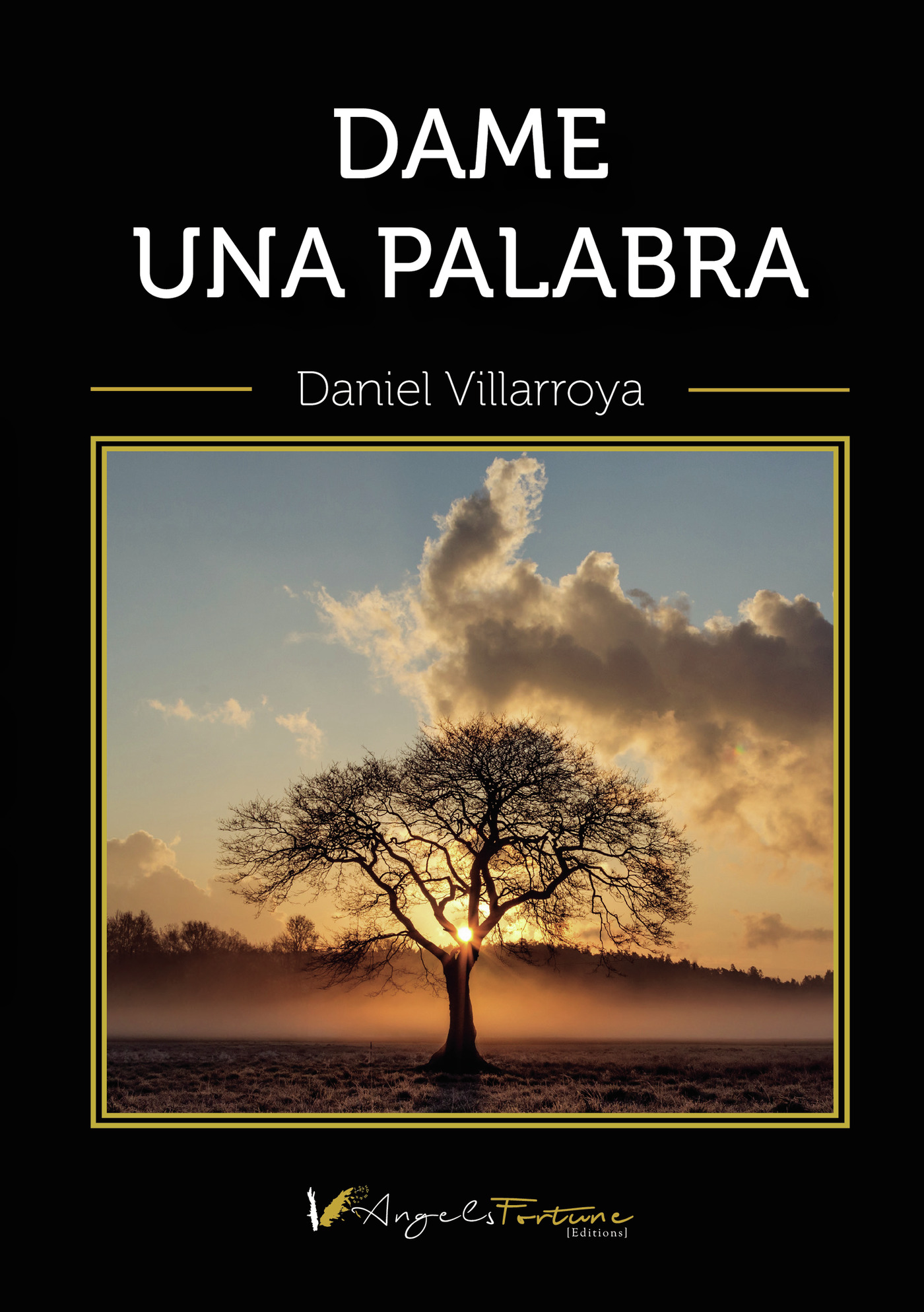 Portada de Dame una palabra · Daniel Villarroya Sangüesa