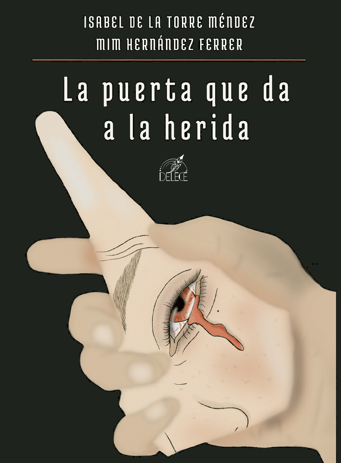 Portada de La puerta que da a la herida