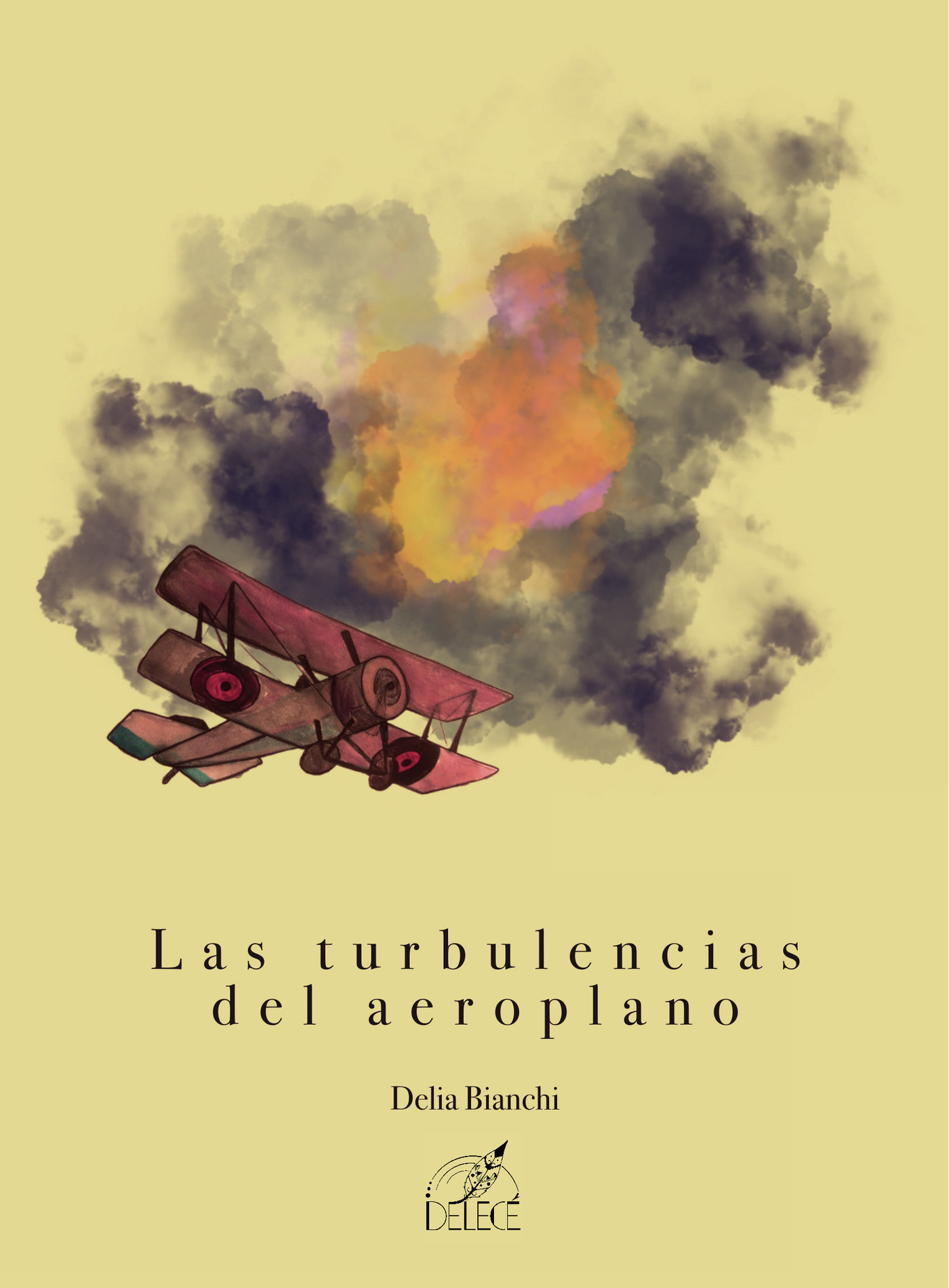 Portada de Las turbulencias del aeroplano