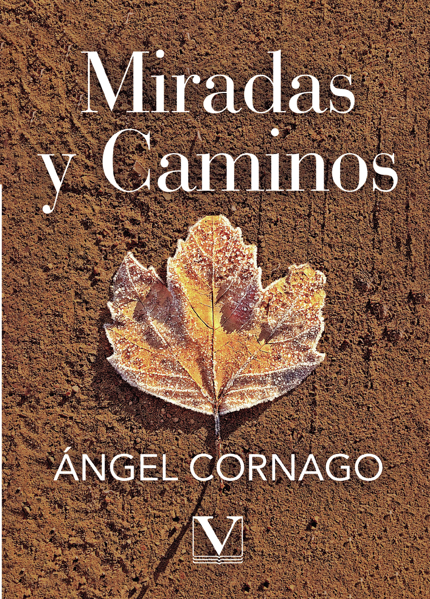 Portada de Miradas y caminos