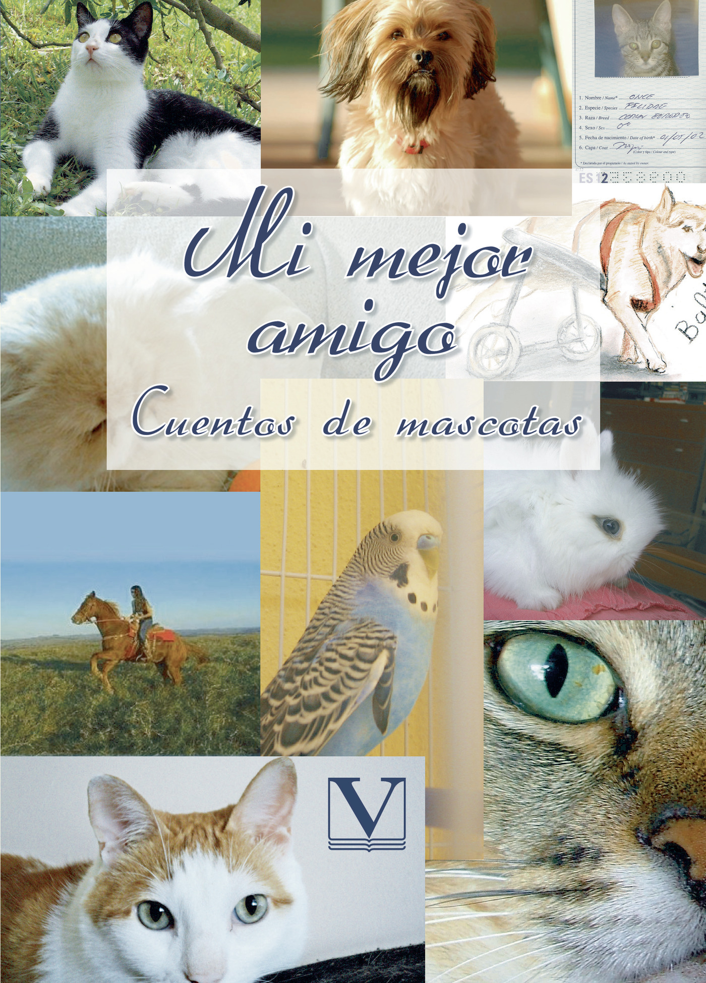 Portada de Mi mejor amigo