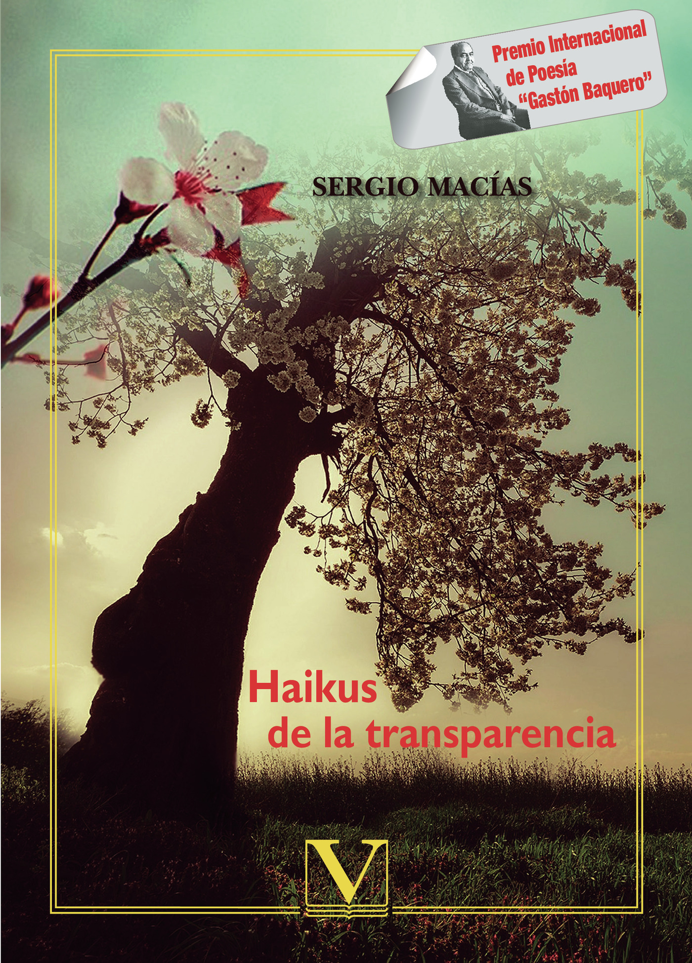 Portada de Haikus de la transparencia