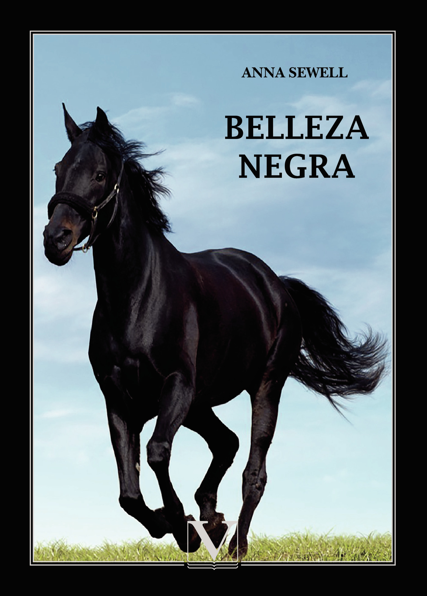 Portada de Belleza negra