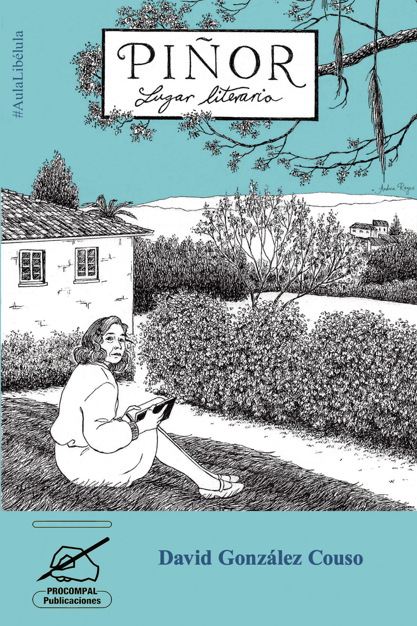 Portada de Piñor, Lugar literario · David González Couso