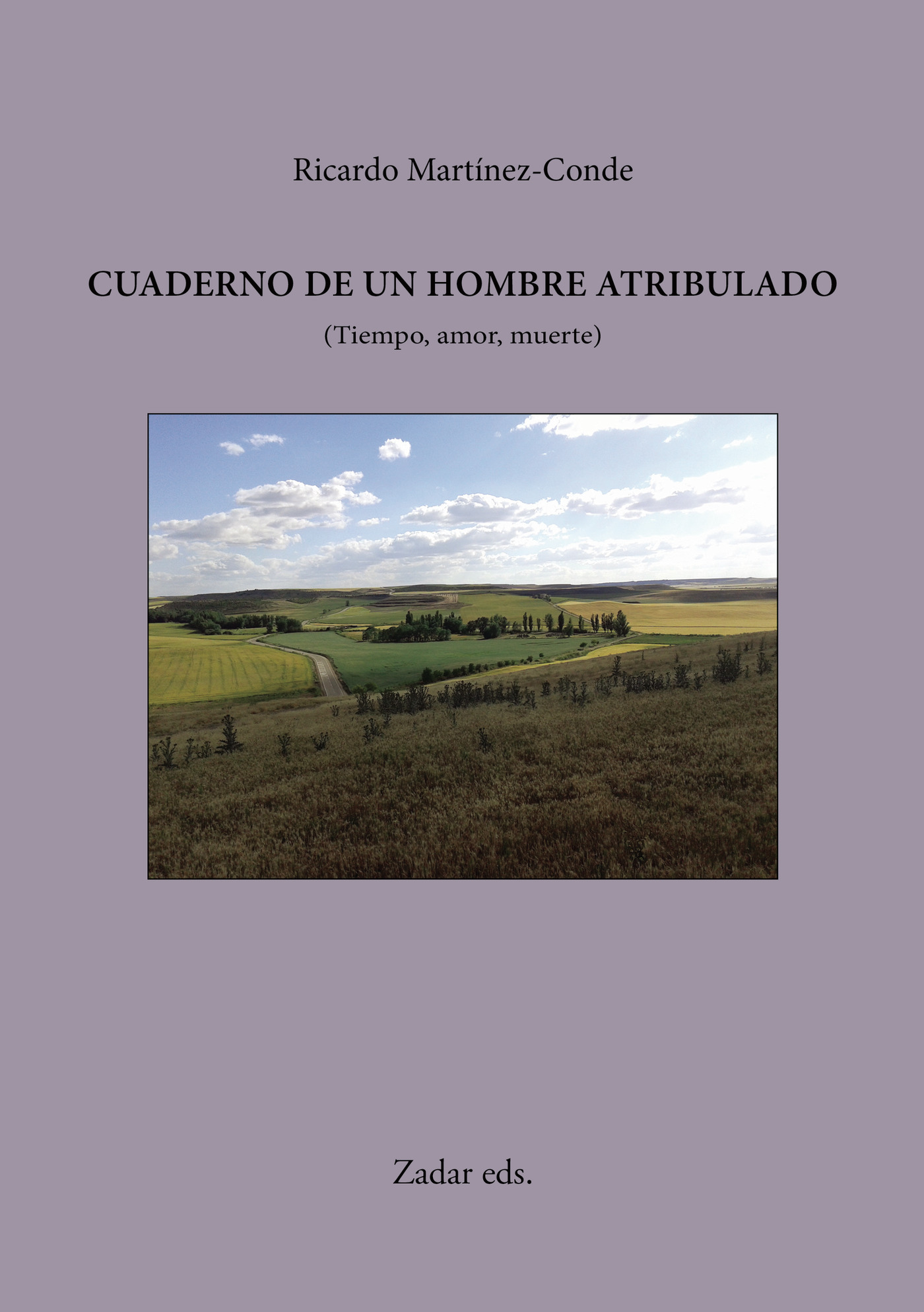 Portada de Cuaderno de un hombre atribulado