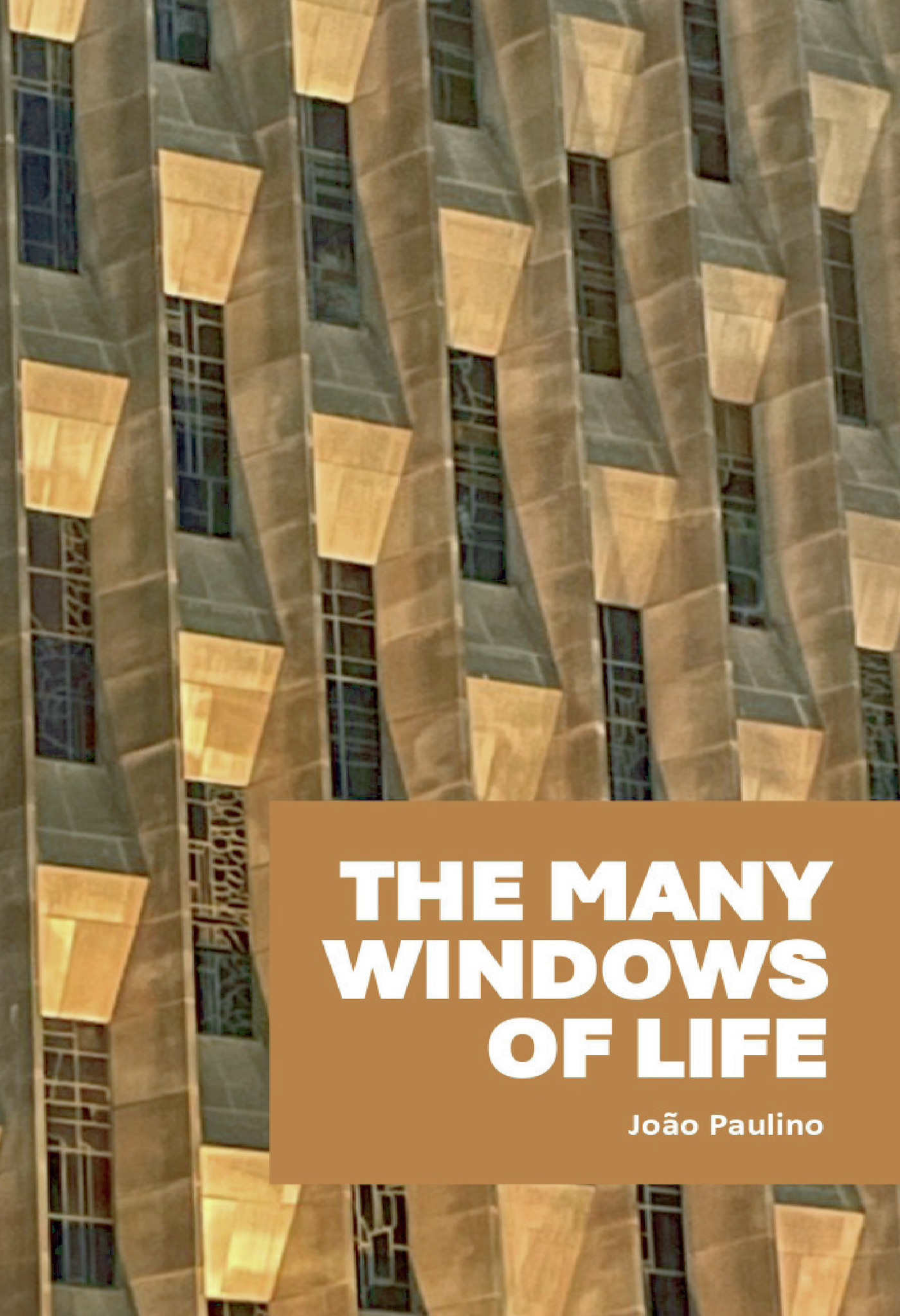 Portada de THE MANY WINDOWS OF LIFE