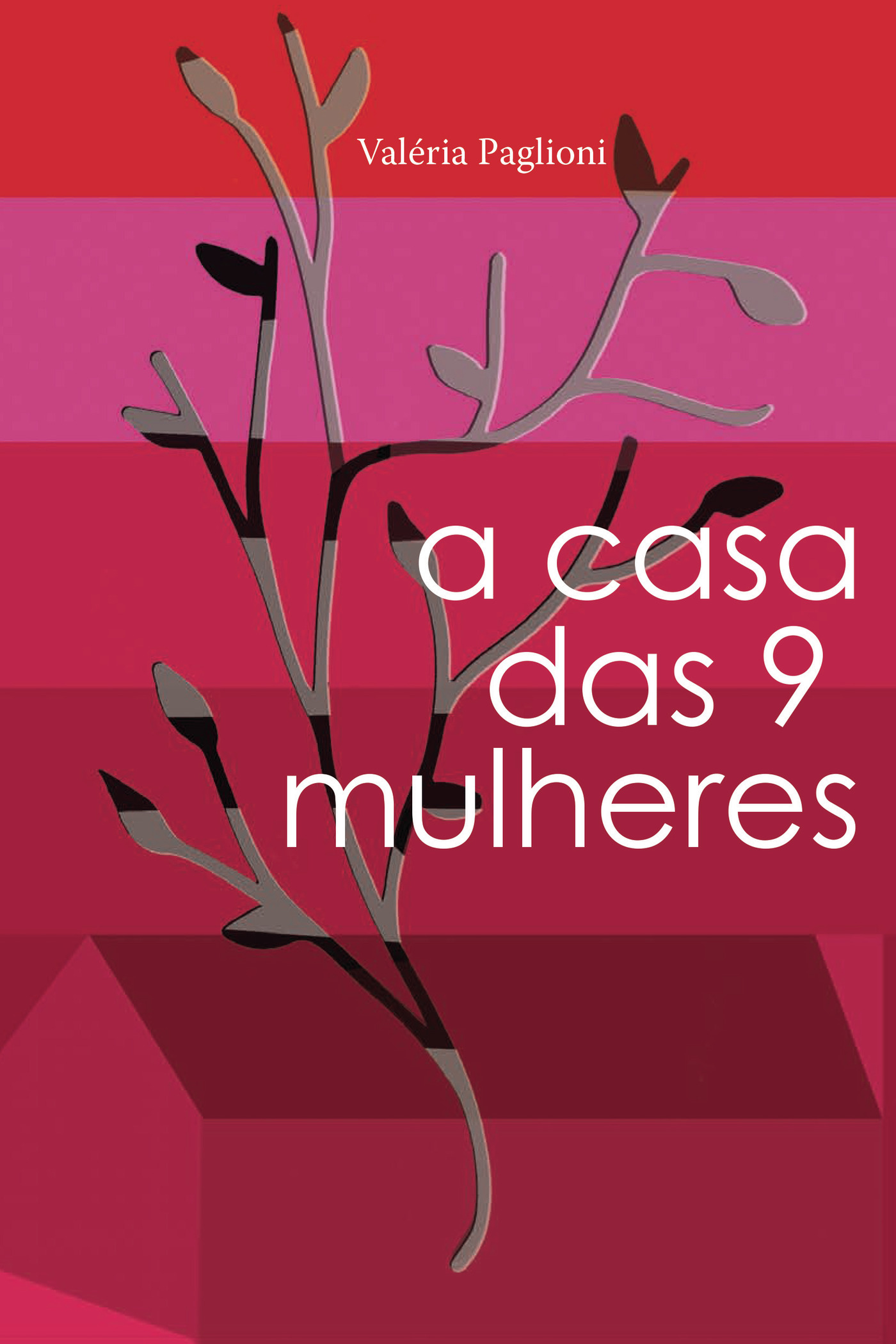 Portada de A casa das 9 mulheres