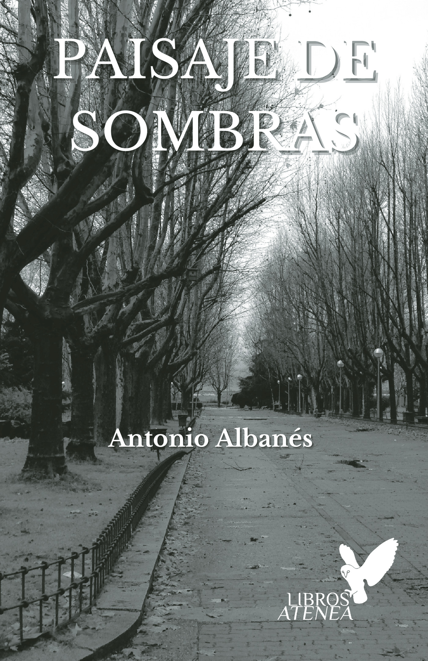 Portada de Paisaje de sombras