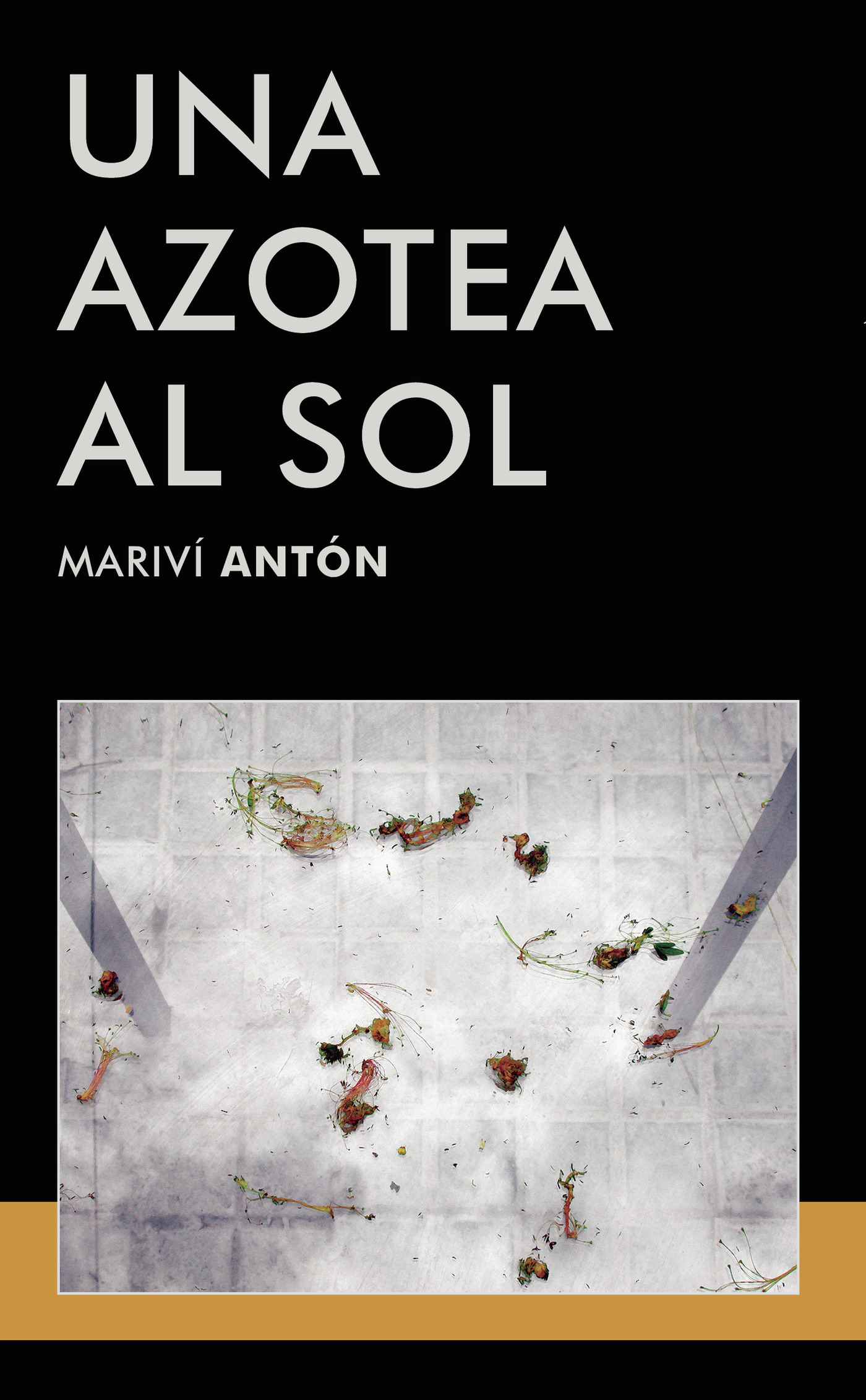 Portada de UNA AZOTEA AL SOL
