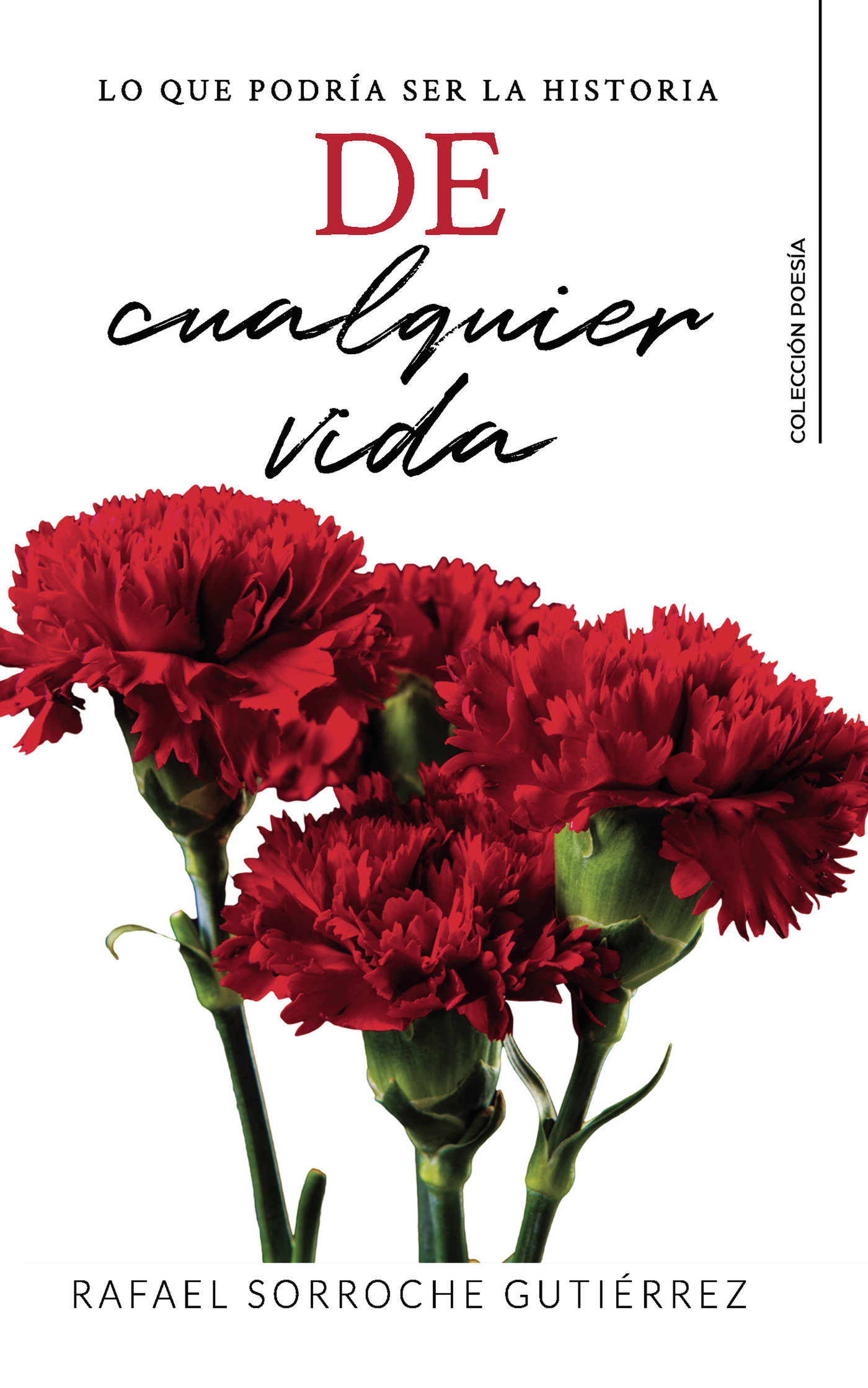 Portada de De cualquier vida · Rafael Sorroche Gutiérrez