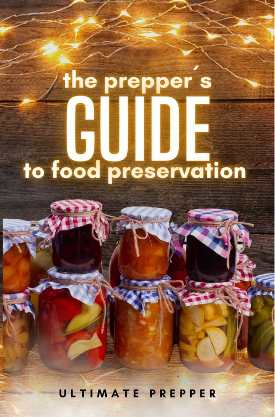 Portada de The preppers guide to food preservation