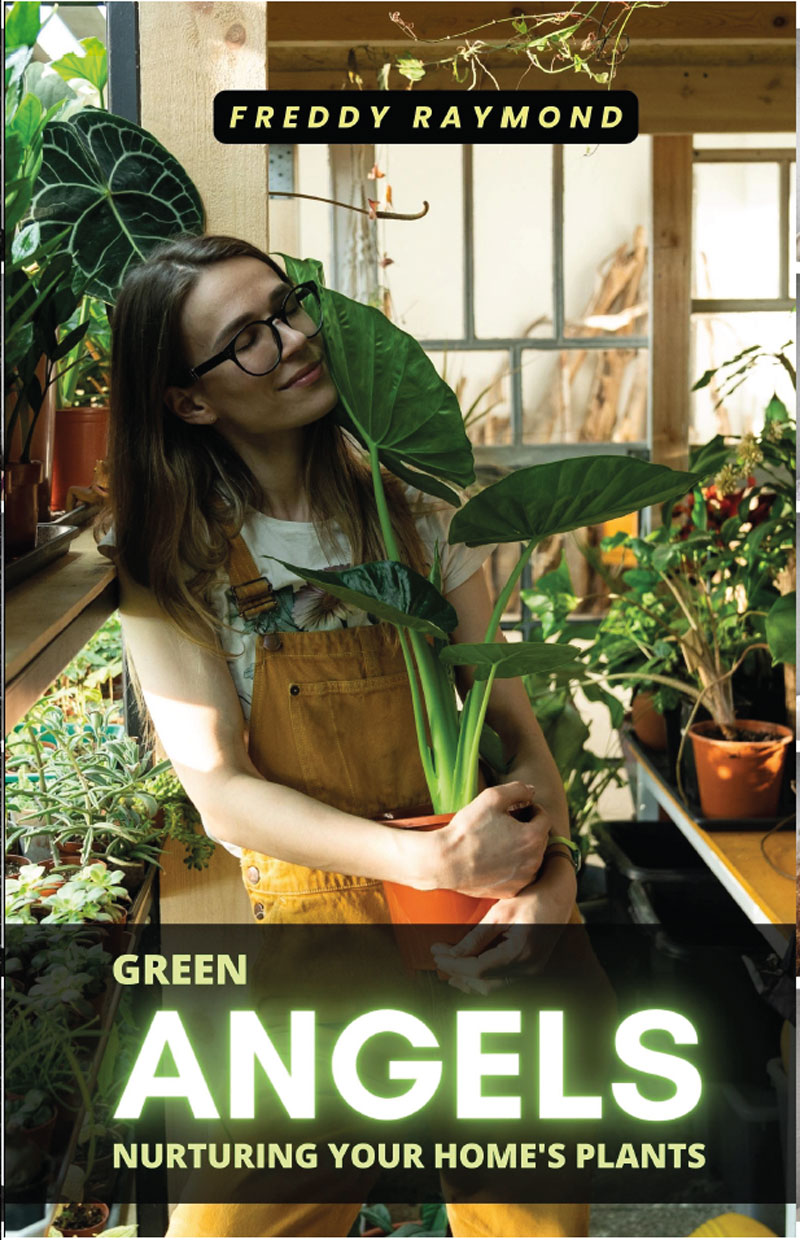 Portada de Green Angels