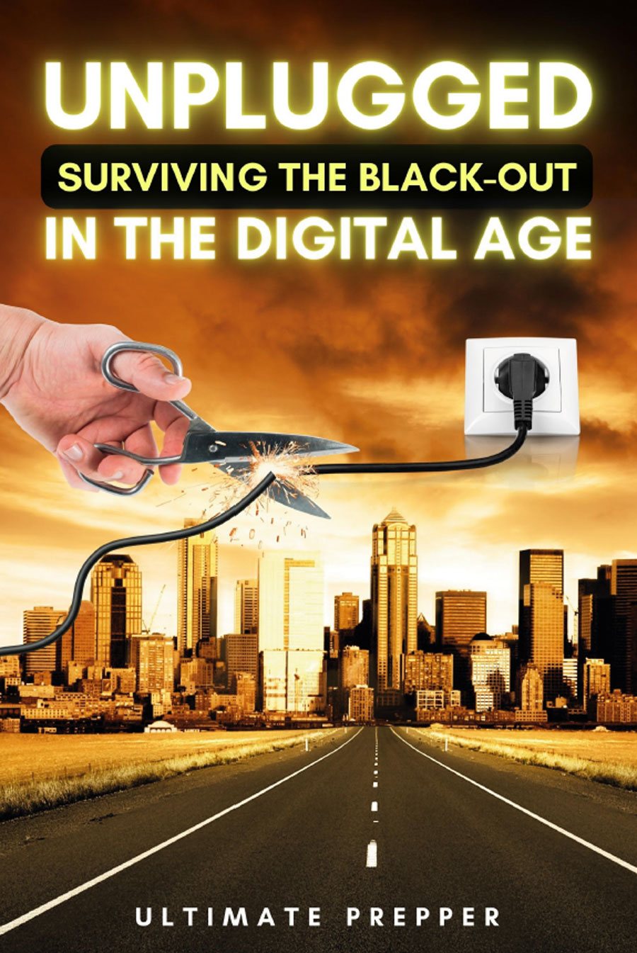 Portada de Unplugged: Surviving the black- out in the digital age