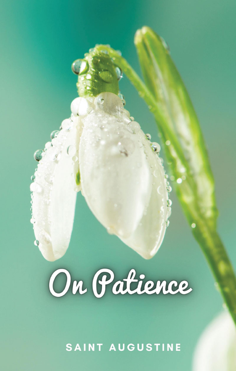 Portada de On Patience