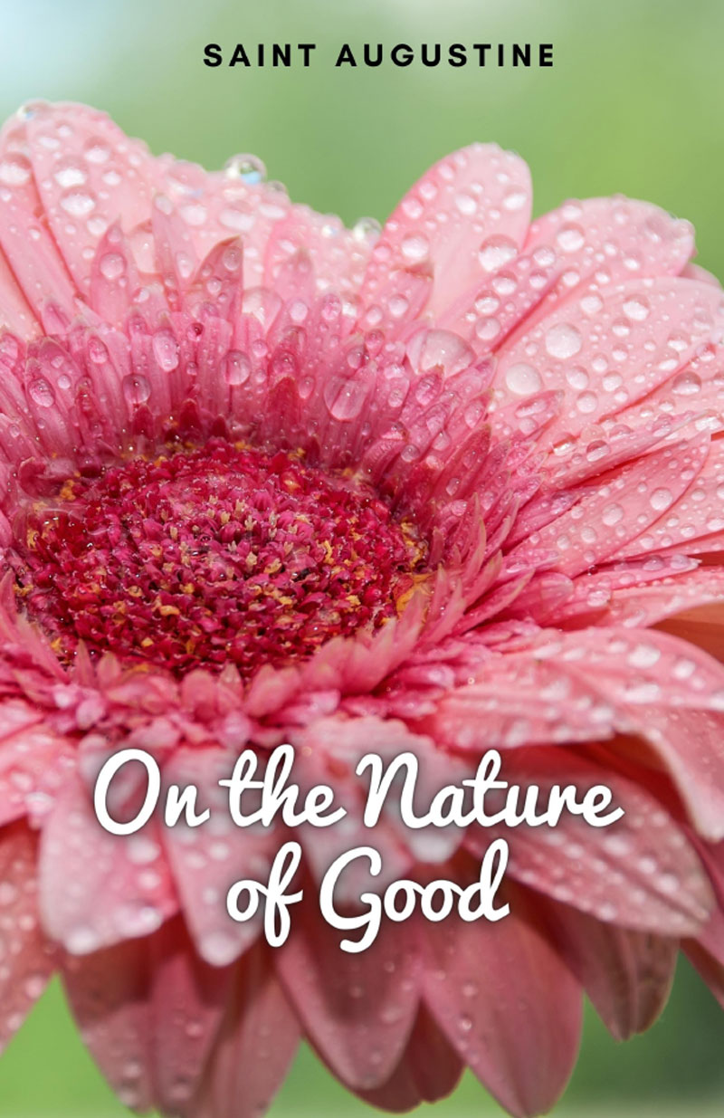 Portada de On the Nature of Good