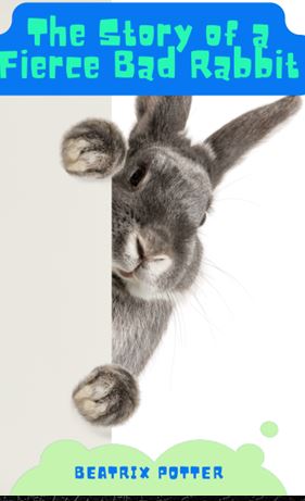 Portada de The Story of A Fierce Bad Rabbit